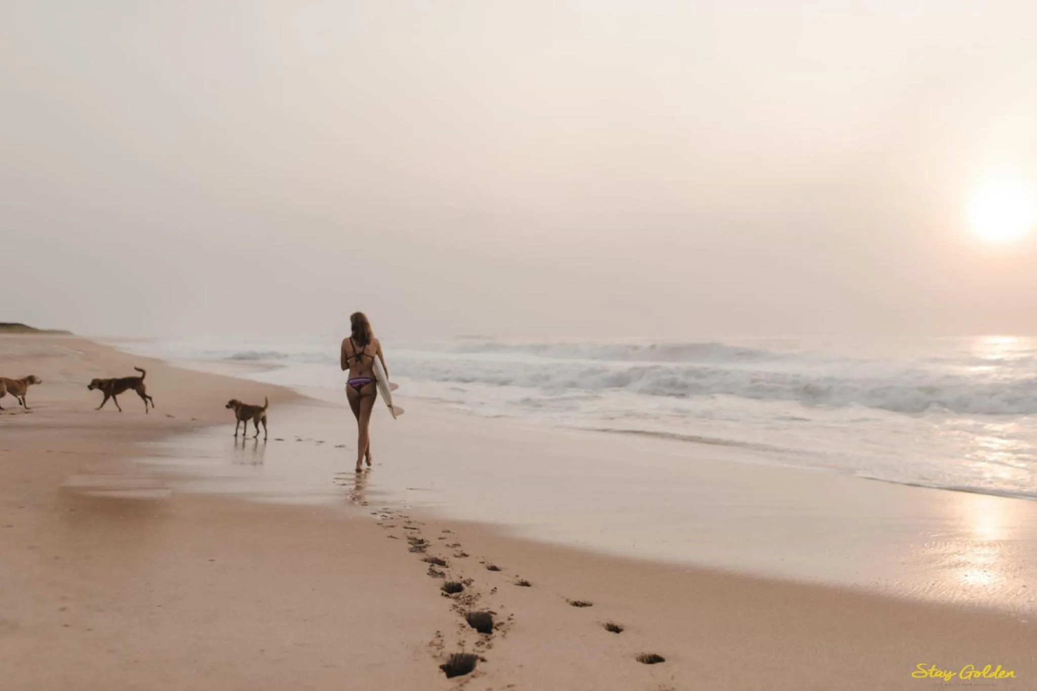 Nearby landmark in Stay Golden