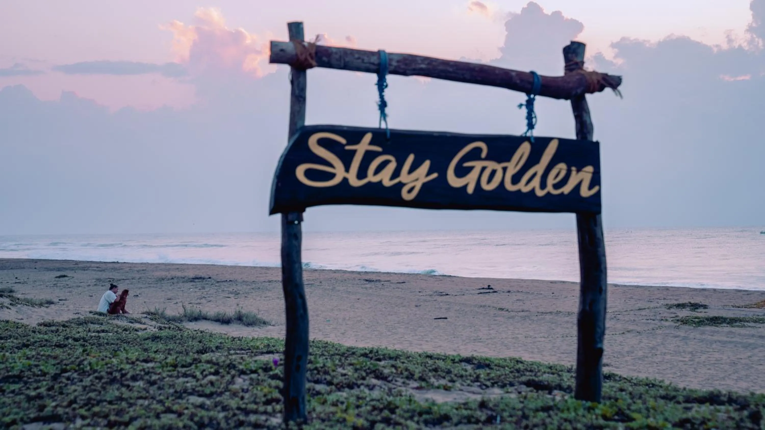 Beach in Stay Golden