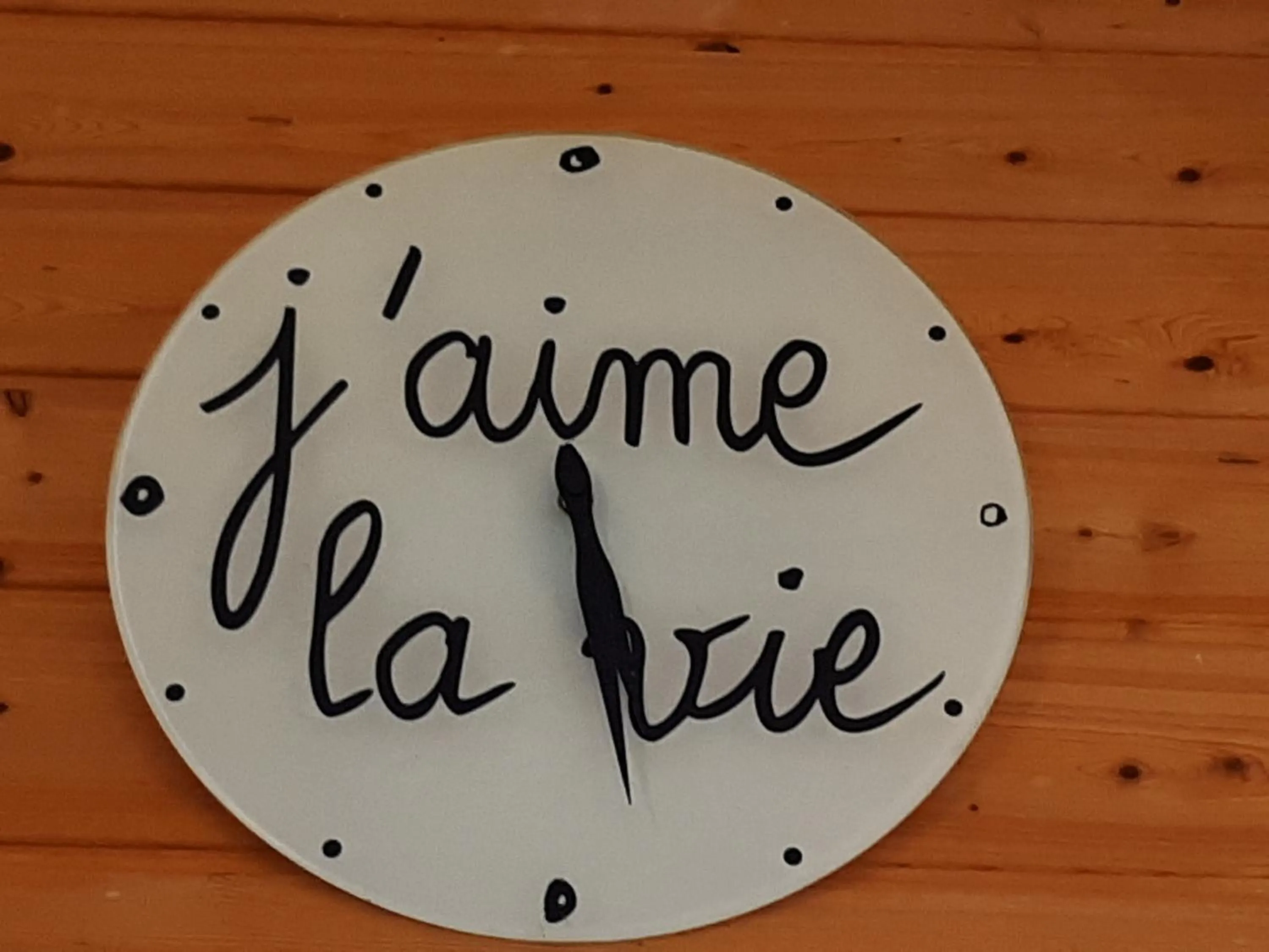 Decorative detail in Le Grand Noyer