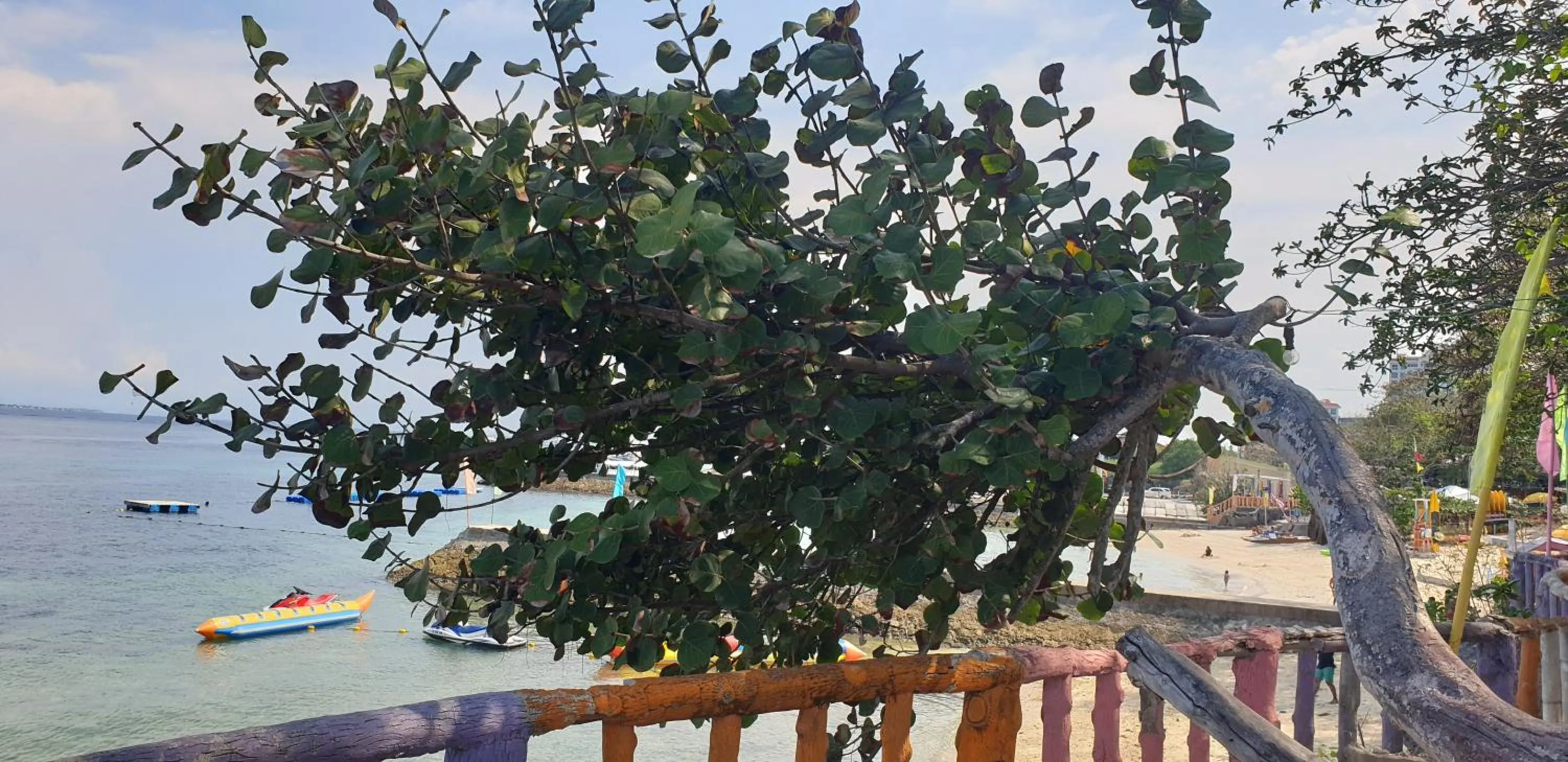 Mactan Newtown Condo with Garden and Ocean View 8NEWTOWN BLVD