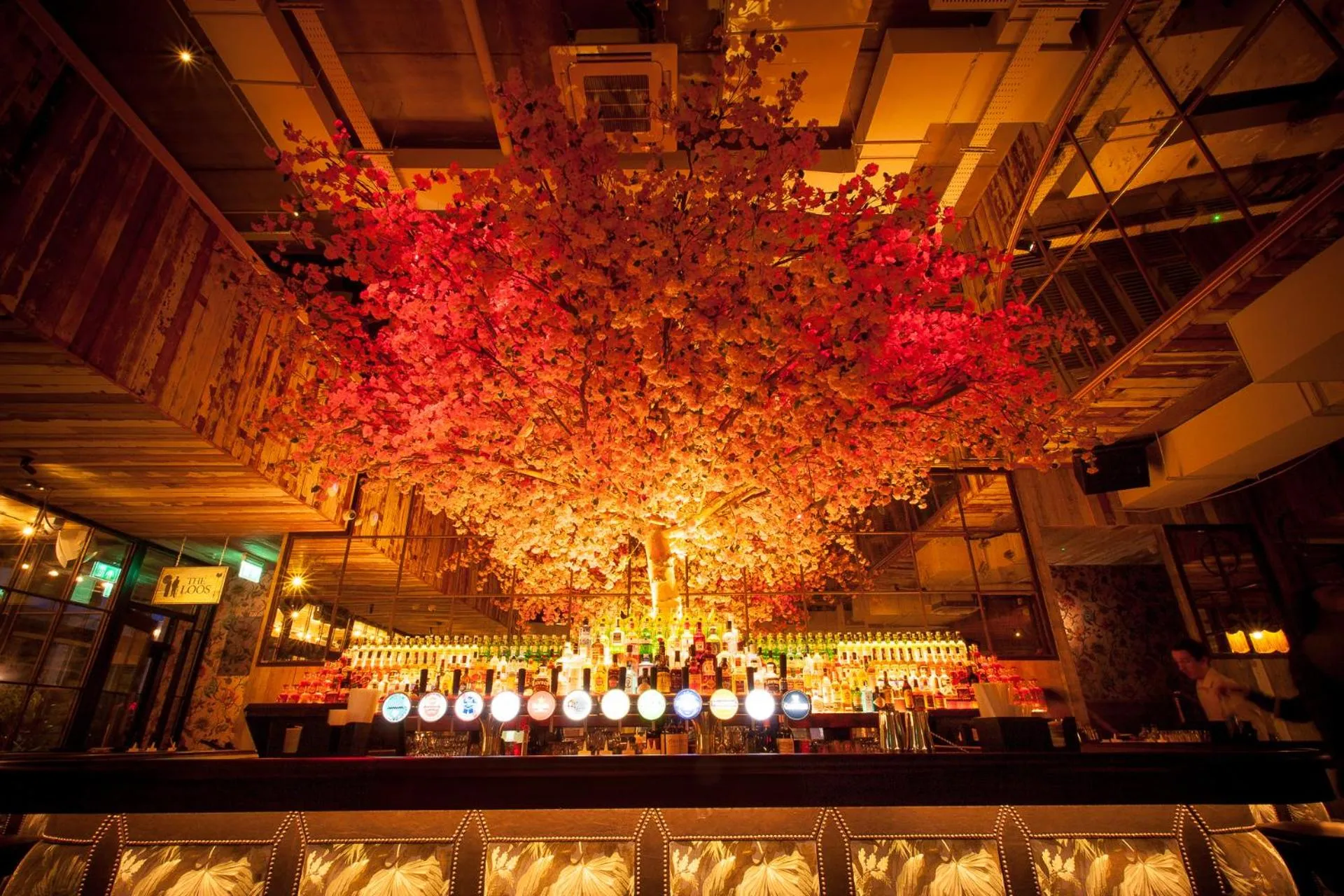 Restaurant/places to eat in House Belfast Hotel