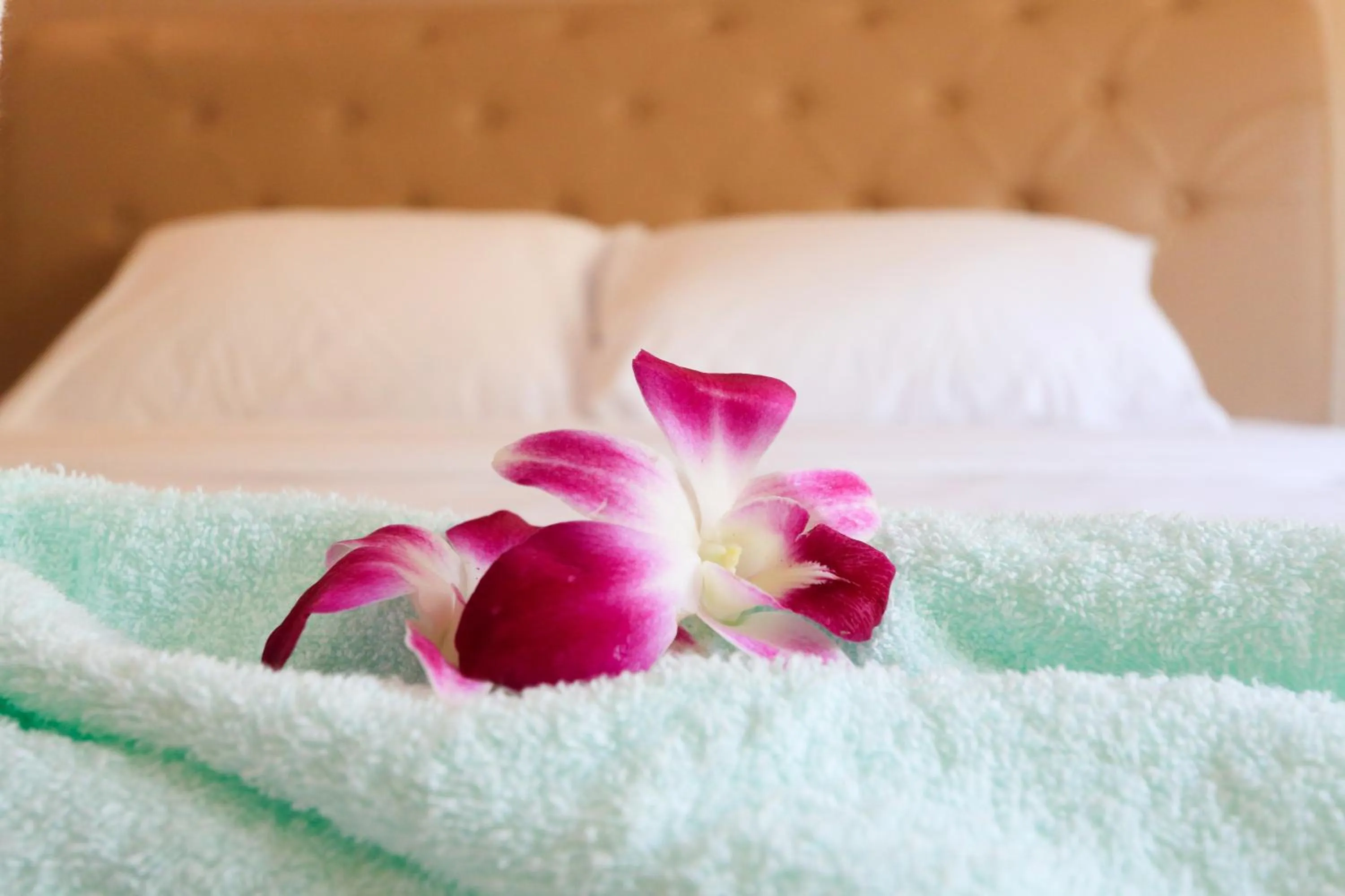 Bed in Venice Resort