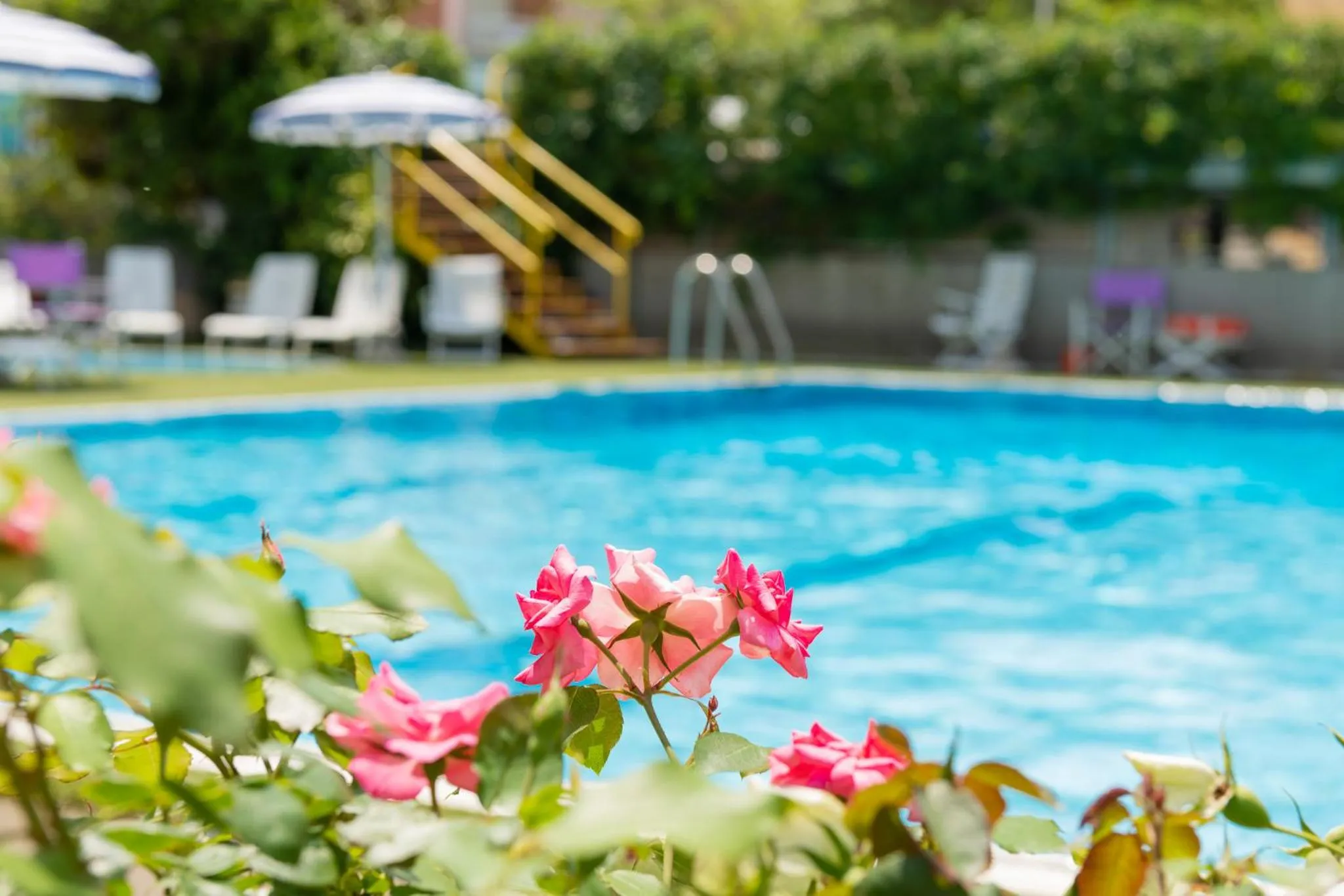 Swimming pool in Hotel Caesar
