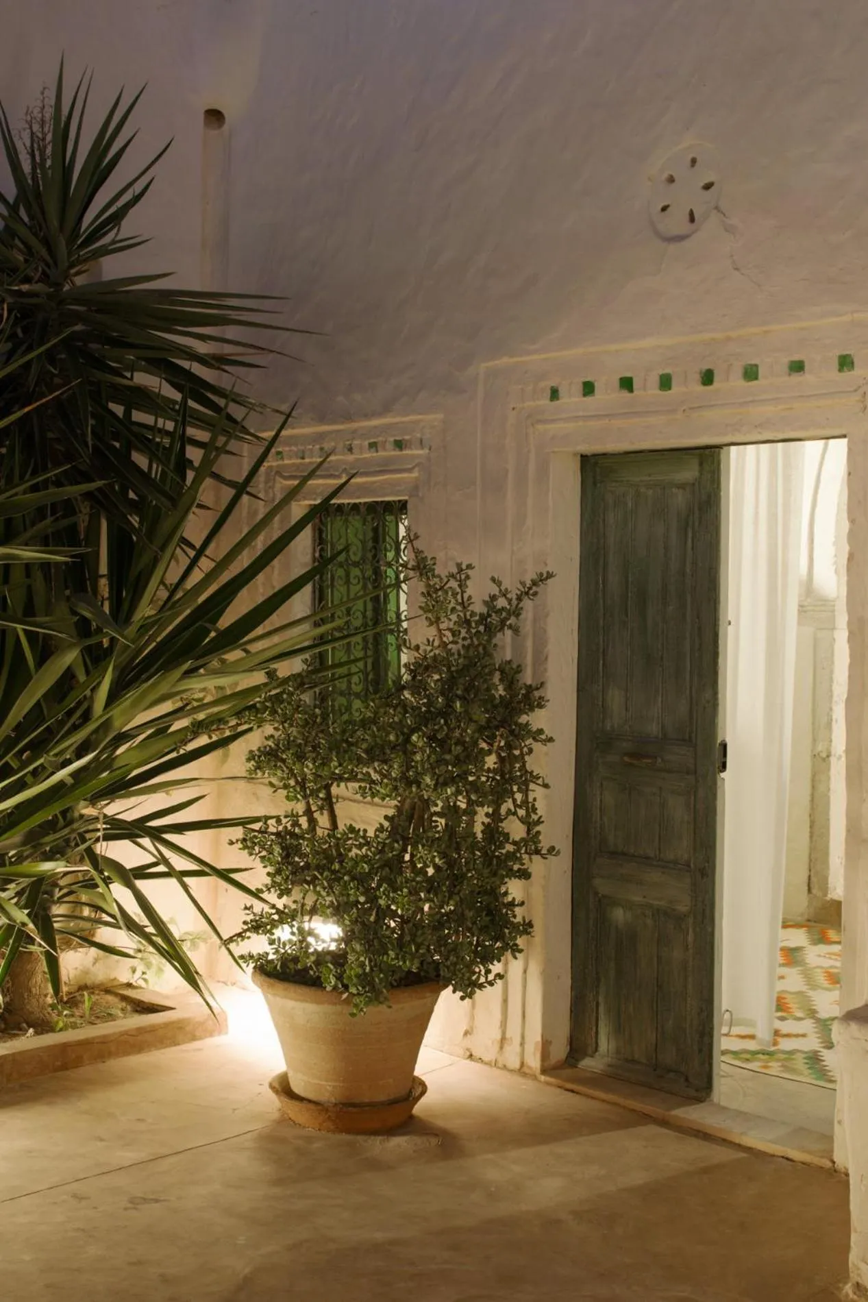 Patio in Hotel Dar Dhiafa