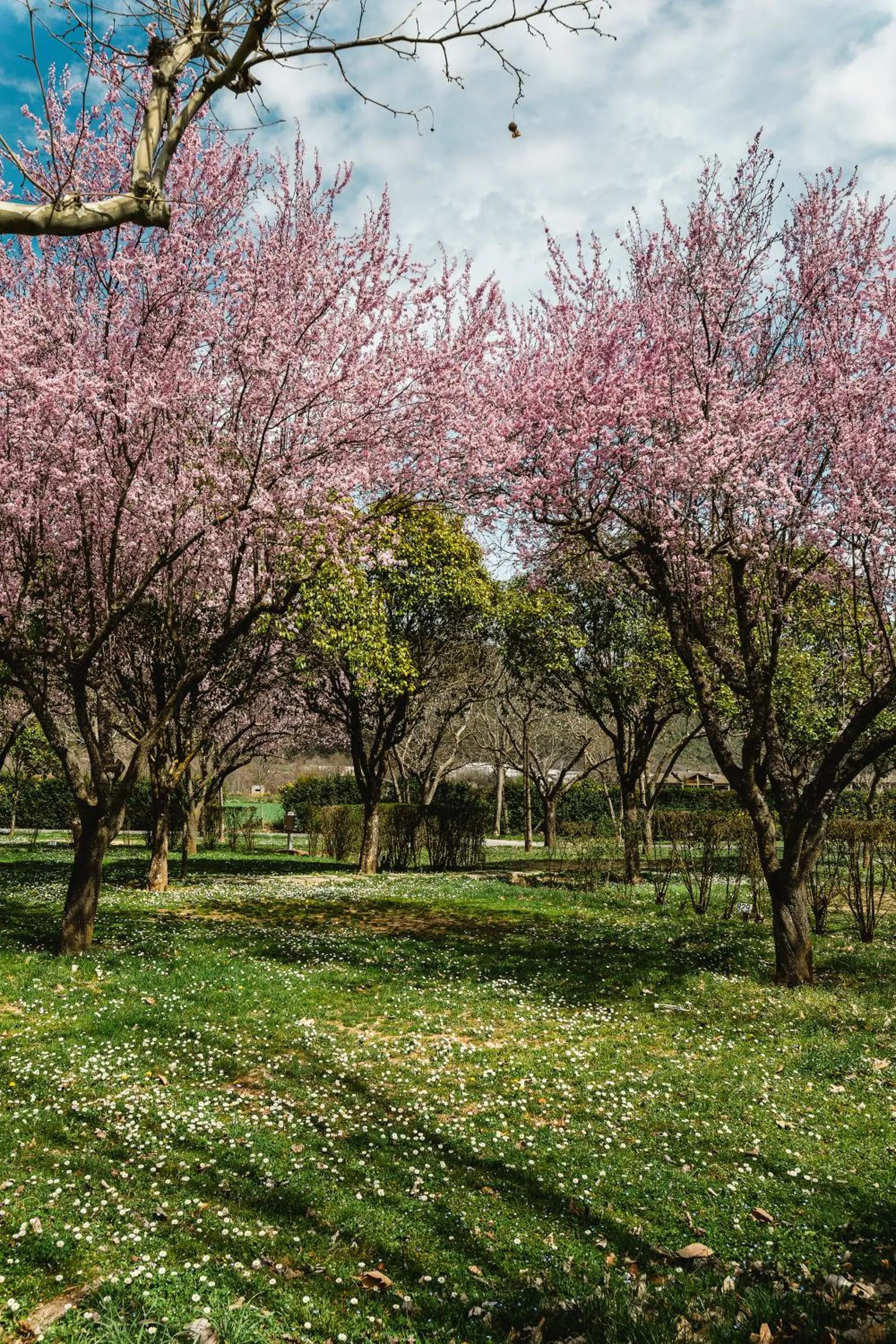 Natural landscape in wecamp Pirineos