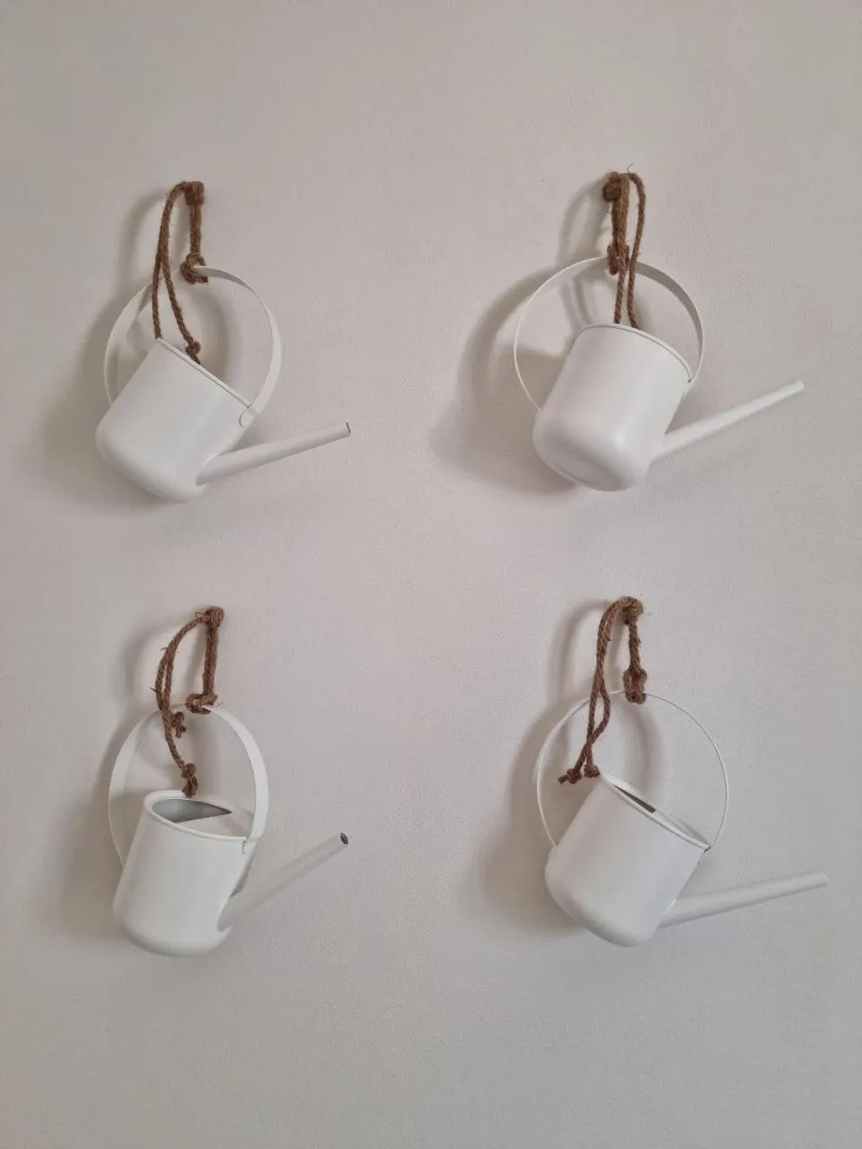 Decorative detail in CORALLI DEL PLEMMIRIO