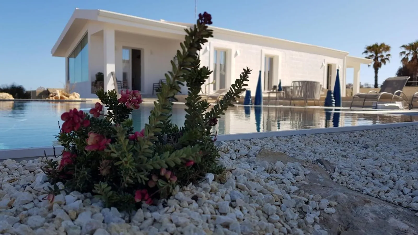 Decorative detail in CORALLI DEL PLEMMIRIO