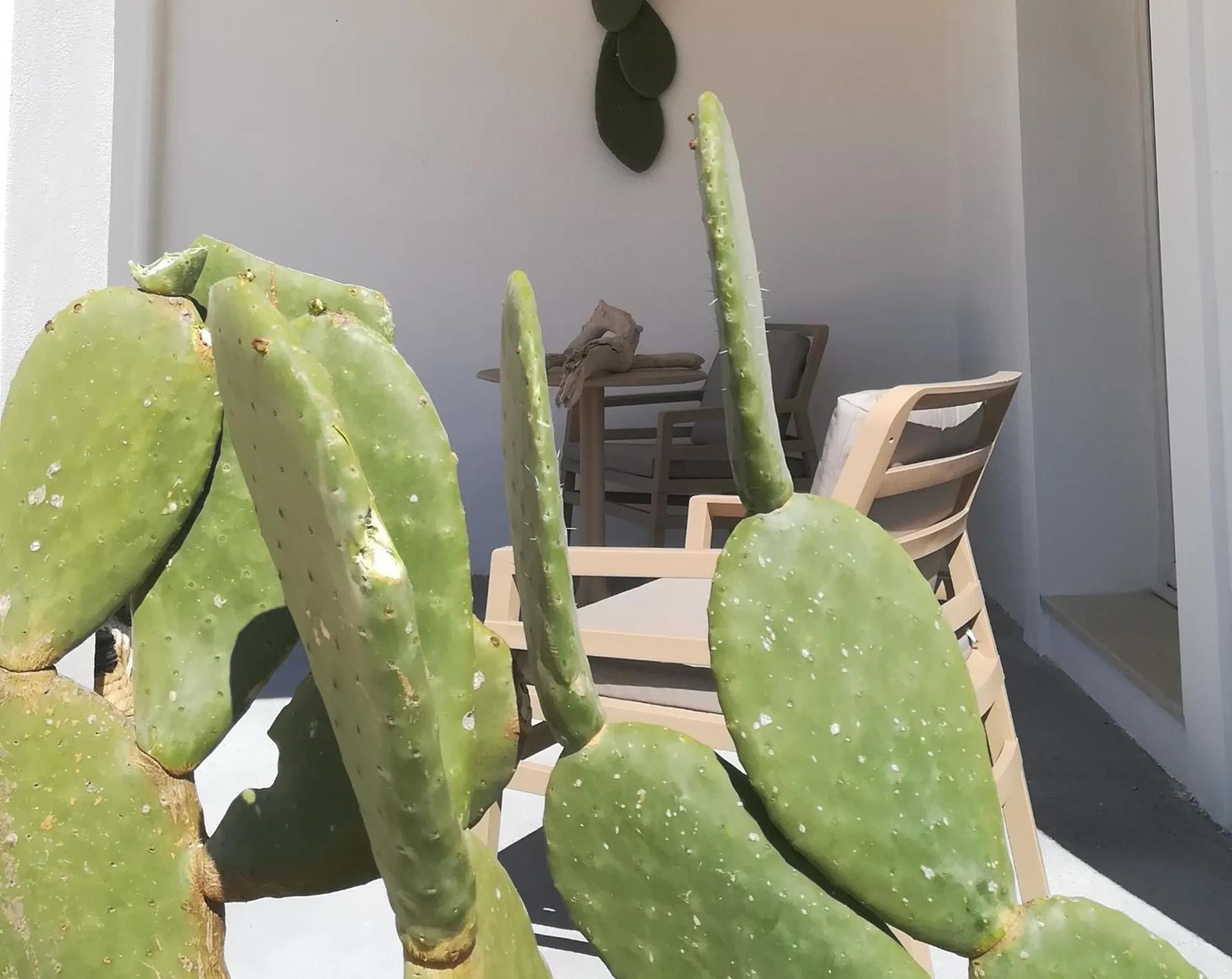 Garden view in CORALLI DEL PLEMMIRIO