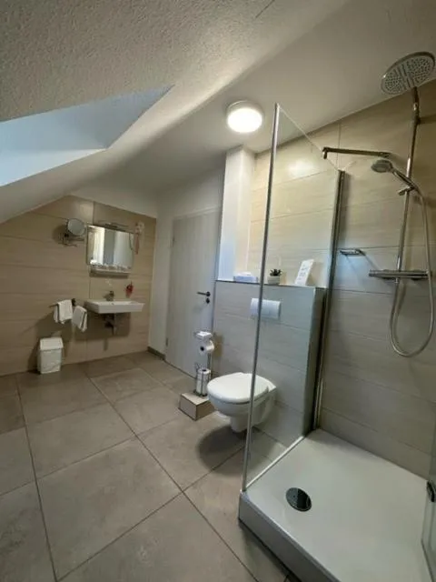 Shower in Hotel Rosenheim