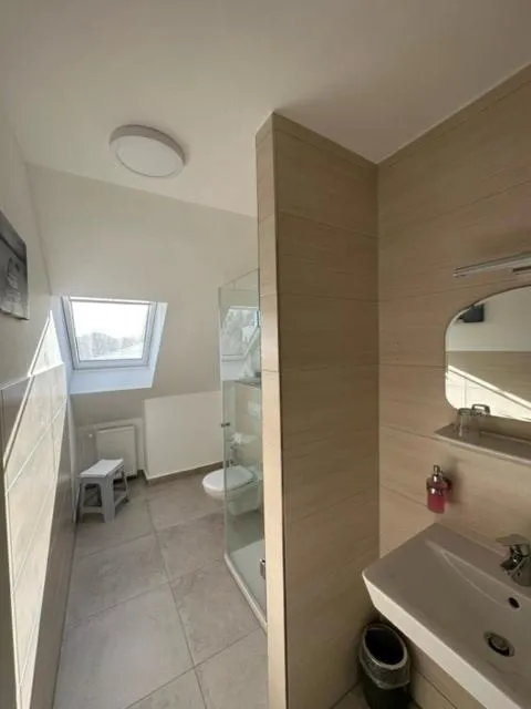 Toilet in Hotel Rosenheim