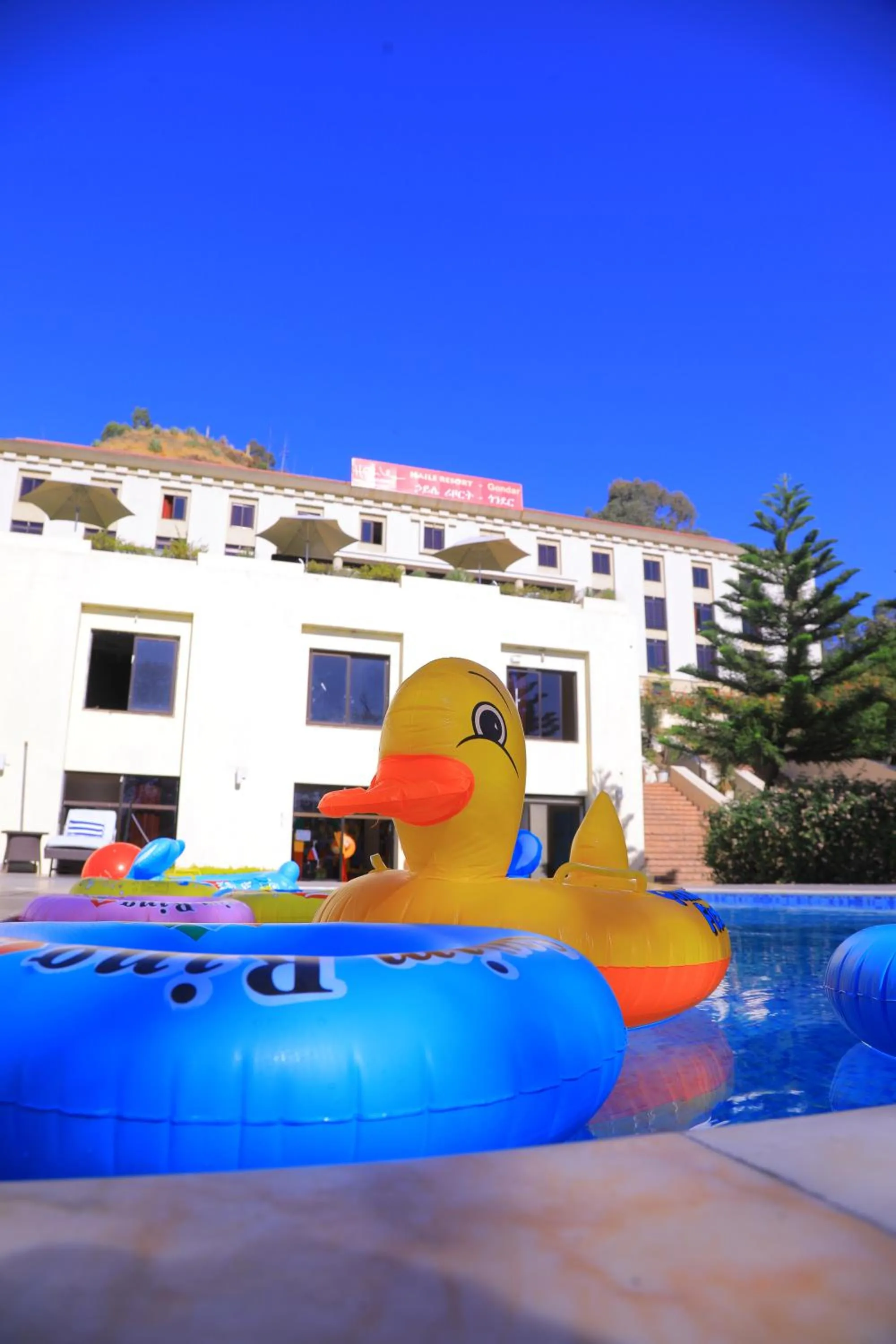 Swimming pool in Haile Resort-Gondar