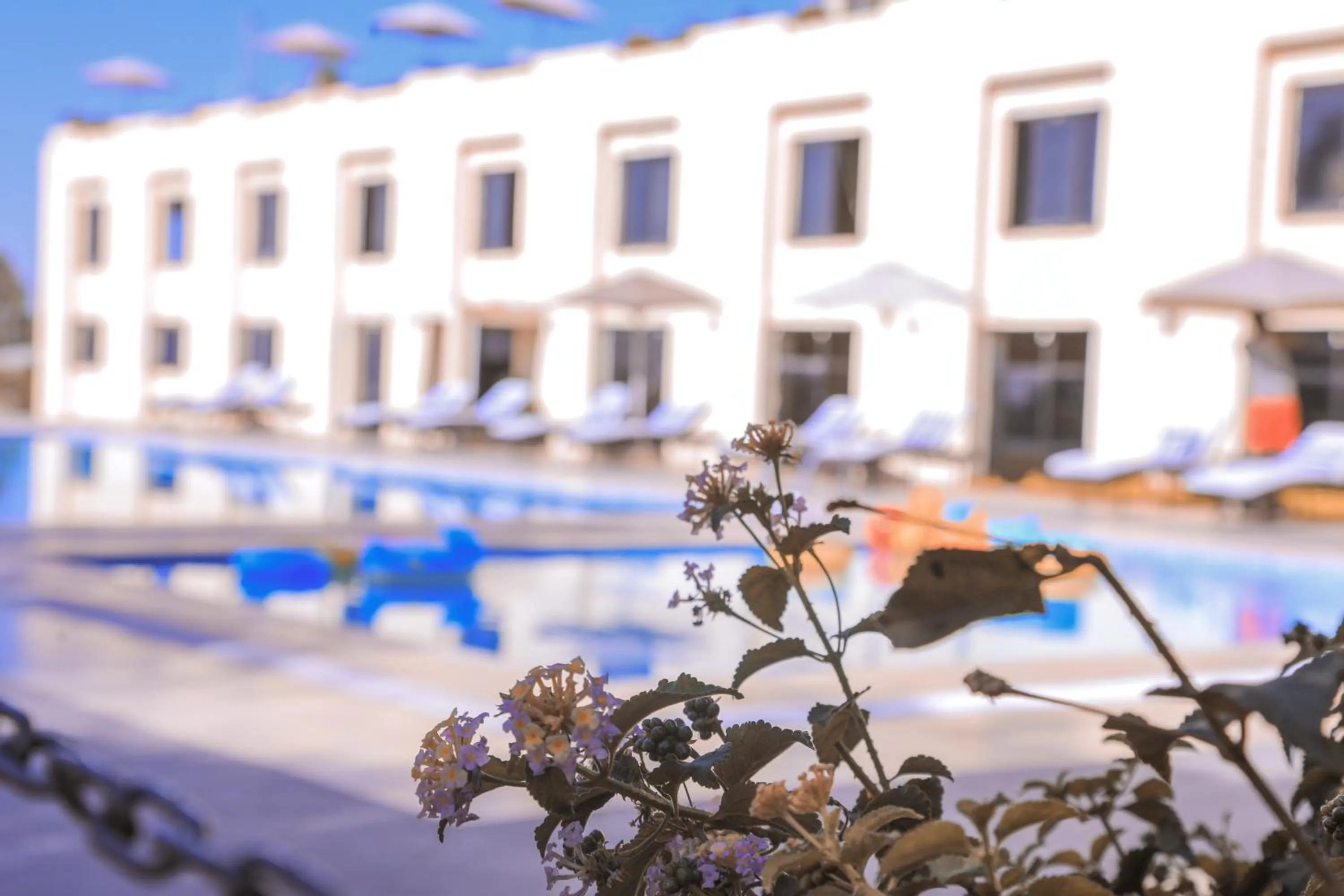 Swimming pool in Haile Resort-Gondar