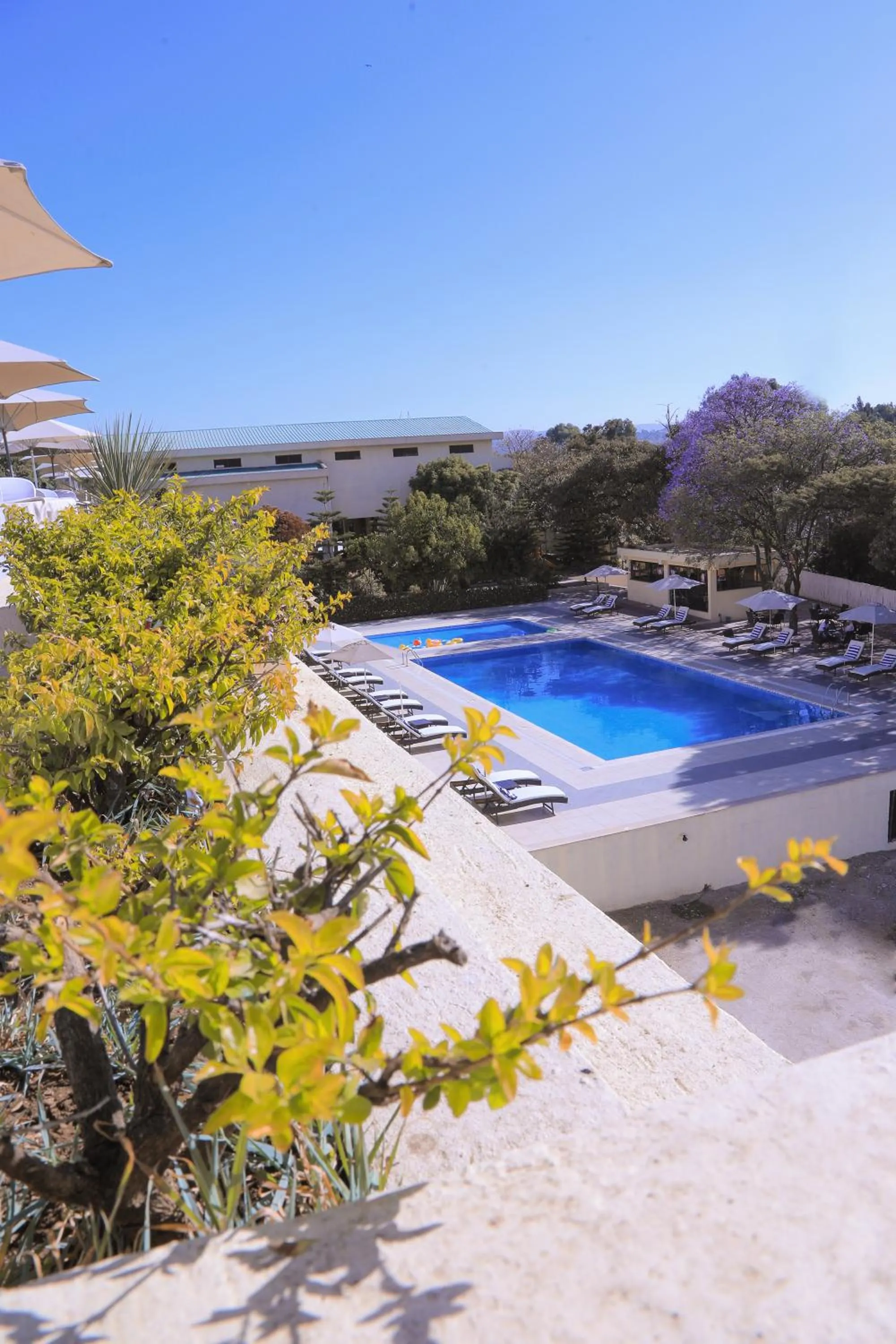 Swimming pool in Haile Resort-Gondar