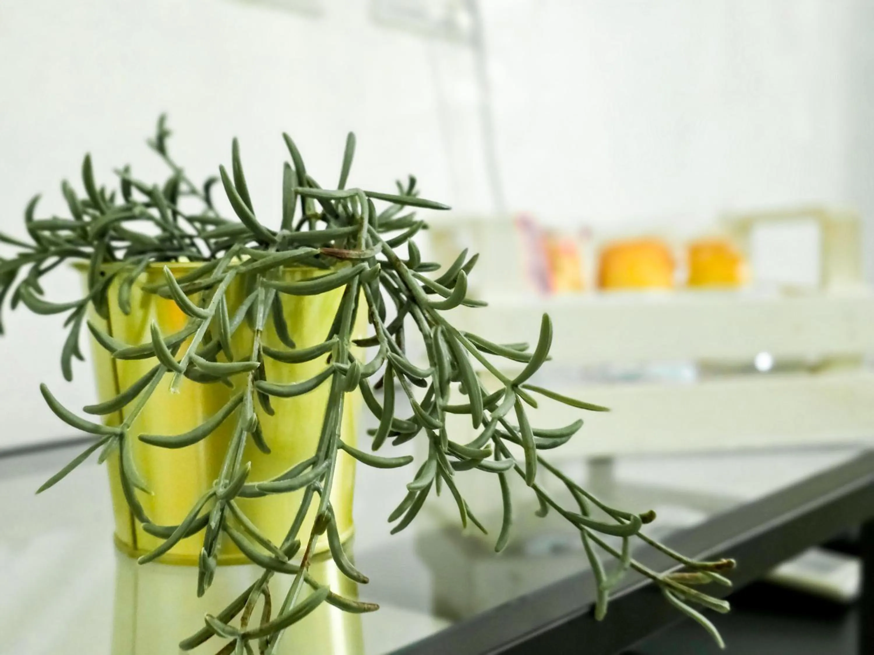 Decorative detail in Mamma Lucia