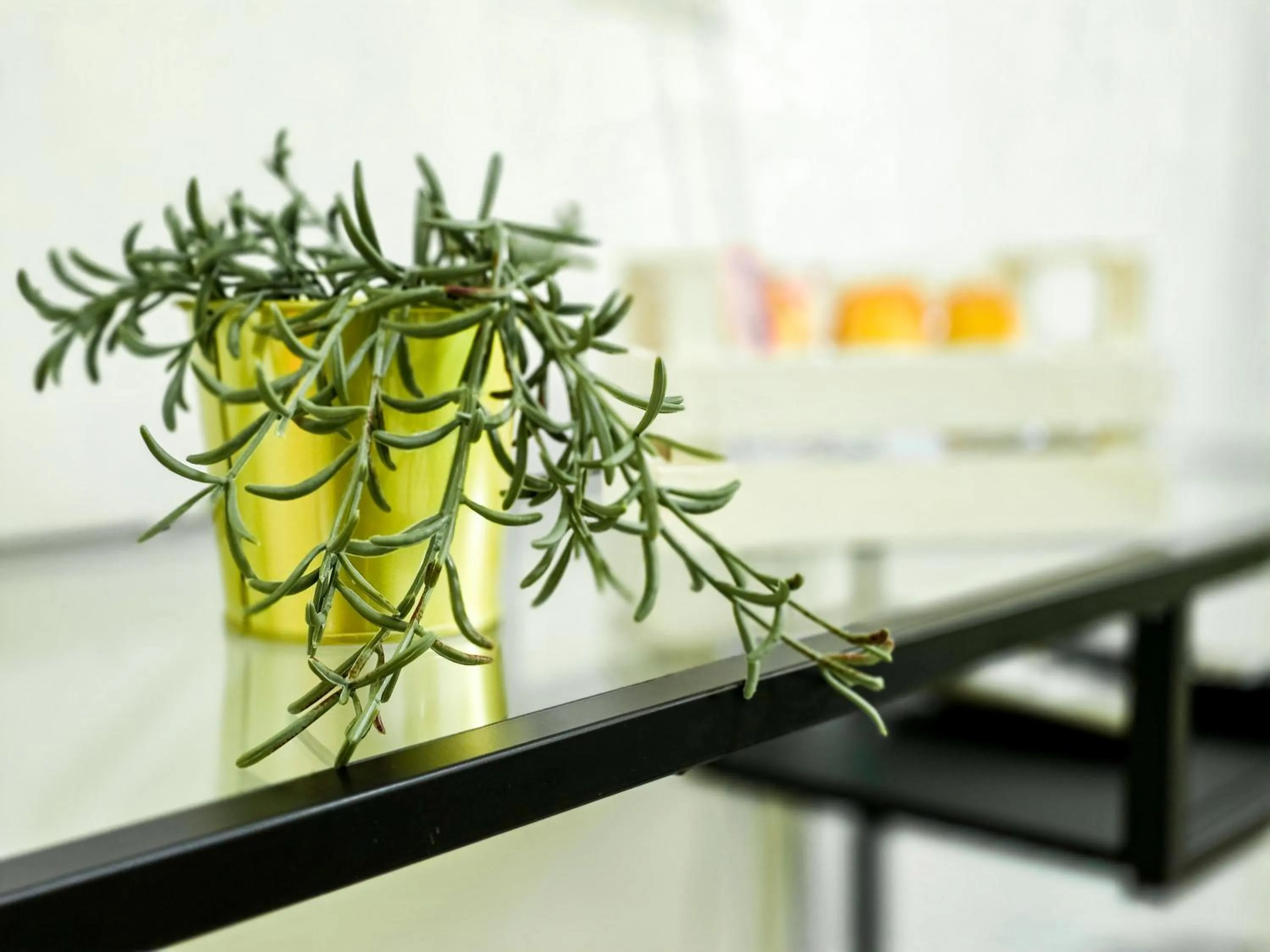 Decorative detail in Mamma Lucia