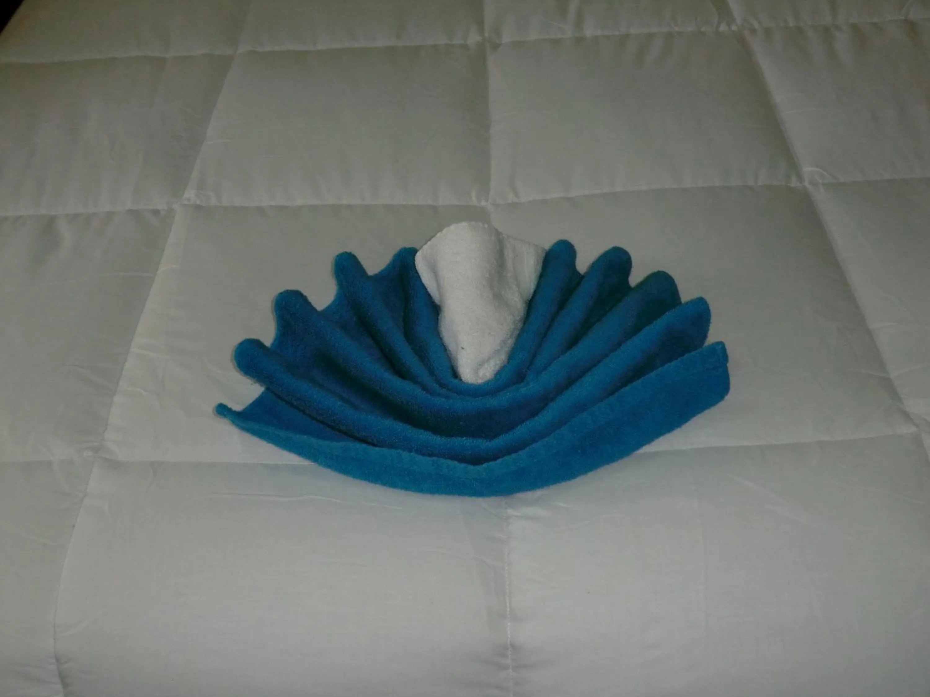 Other in PG Quality Inn