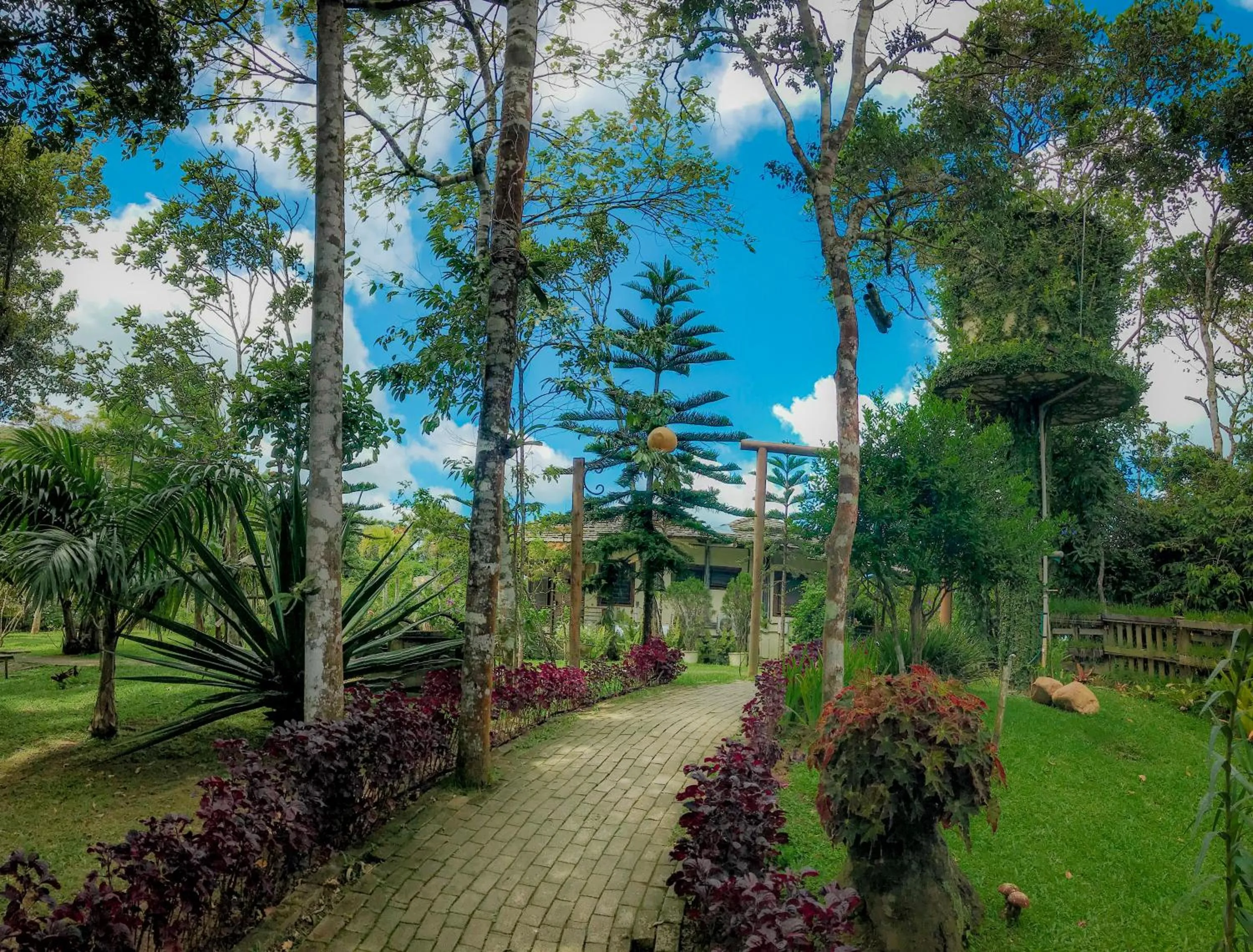 Garden in Hotel Vale das Nuvens