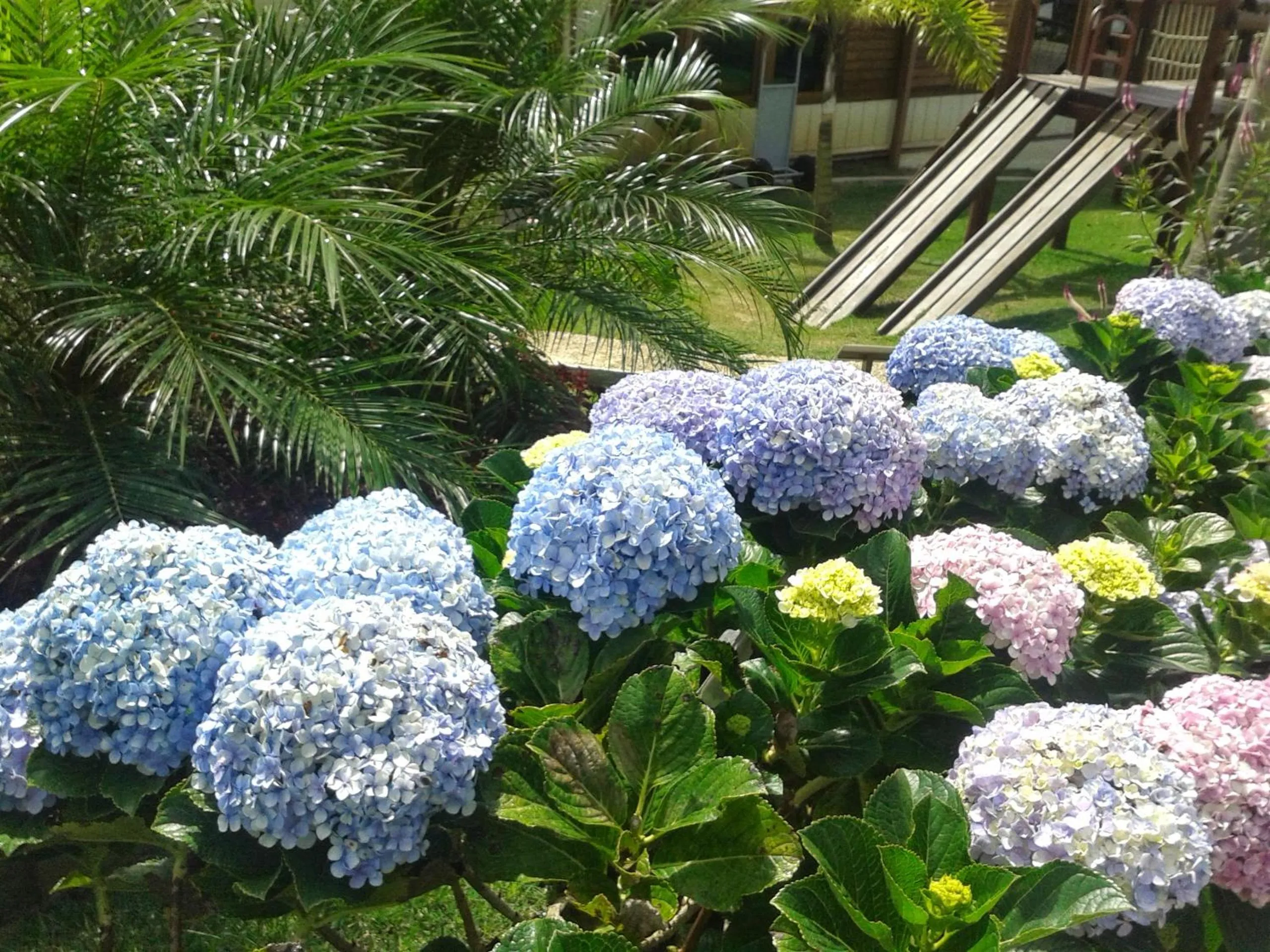 Garden in Hotel Vale das Nuvens