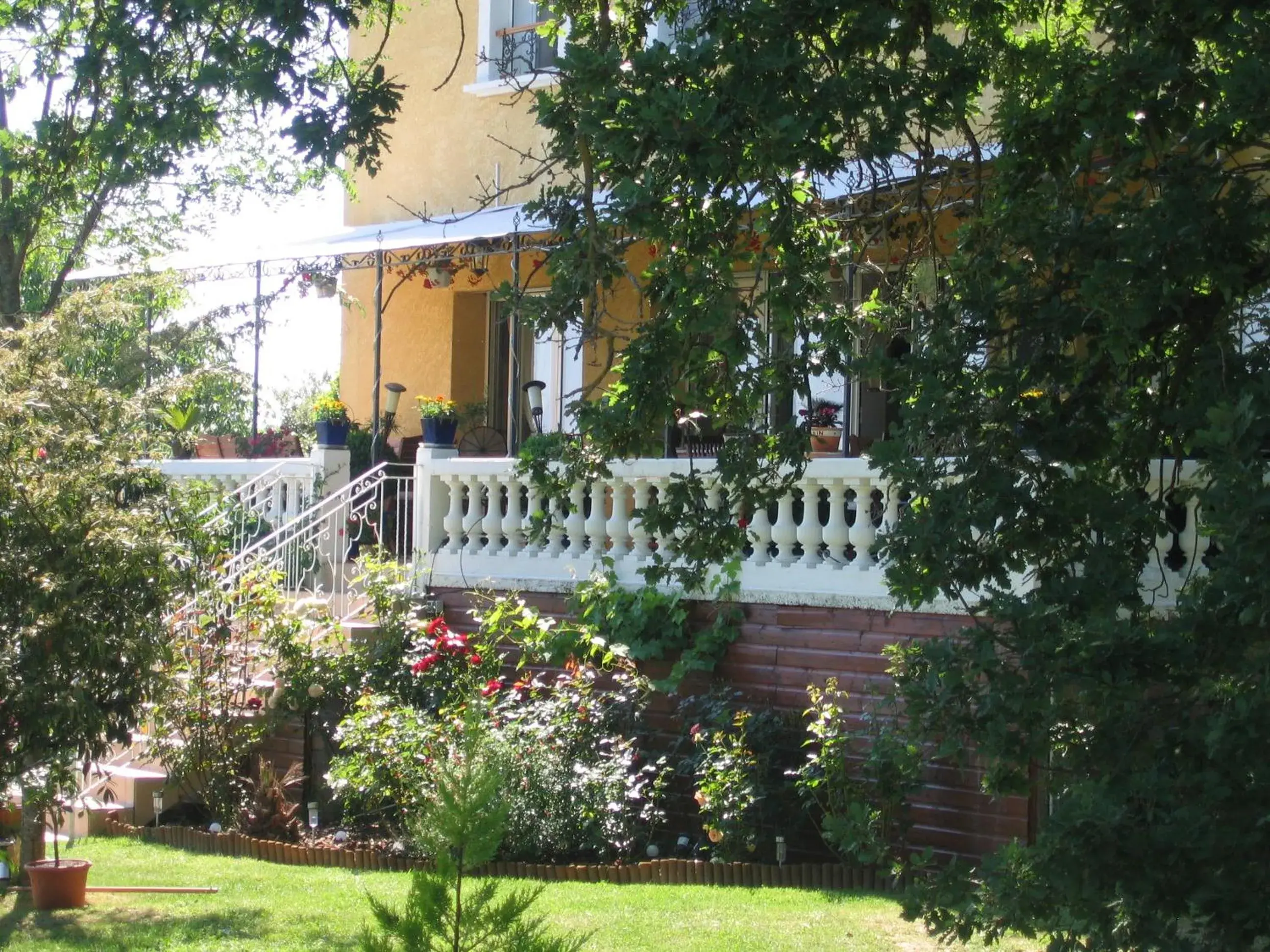 La Maison Jaune La Maison Jaune