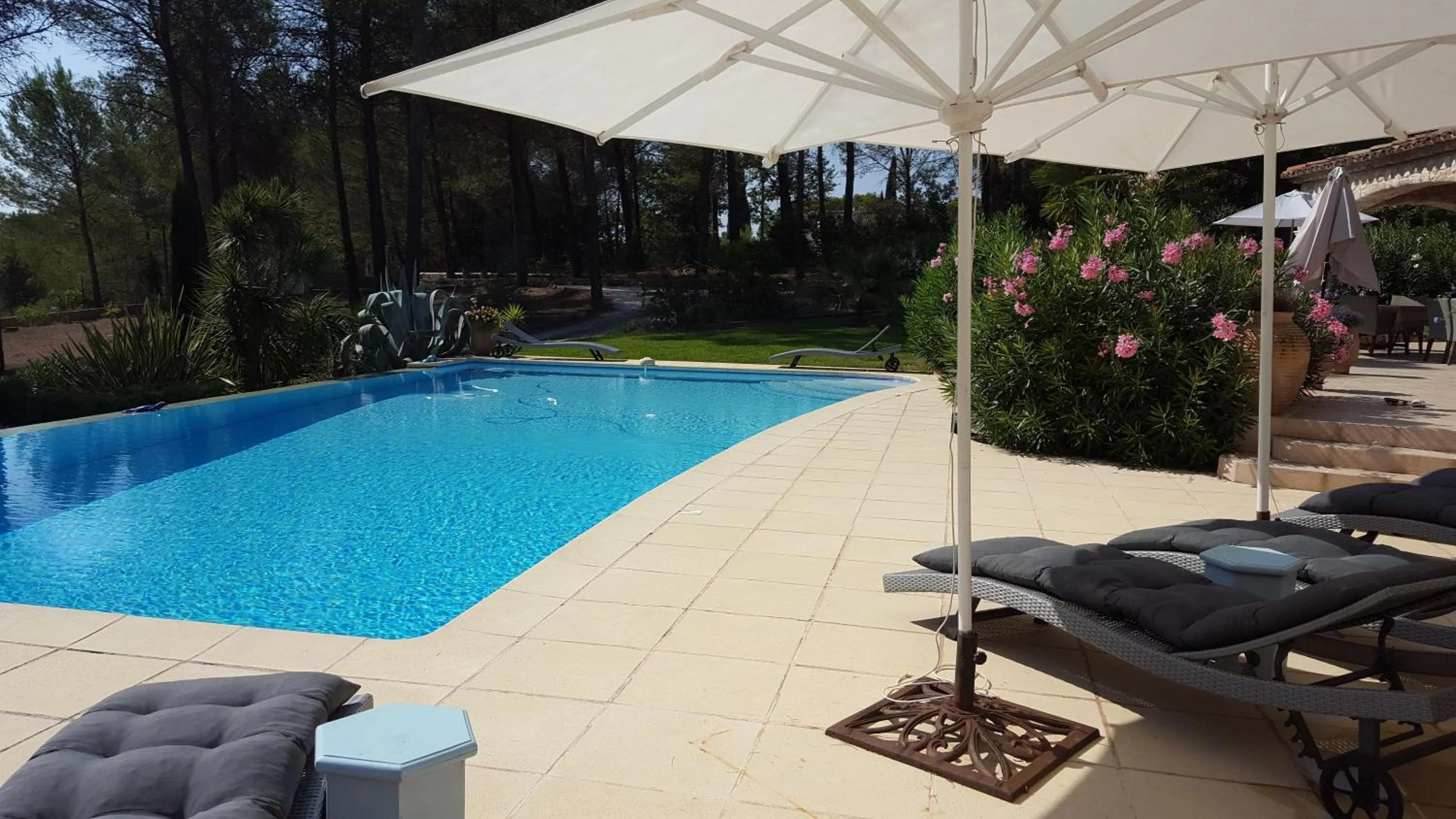 Swimming pool in Les Pitounus