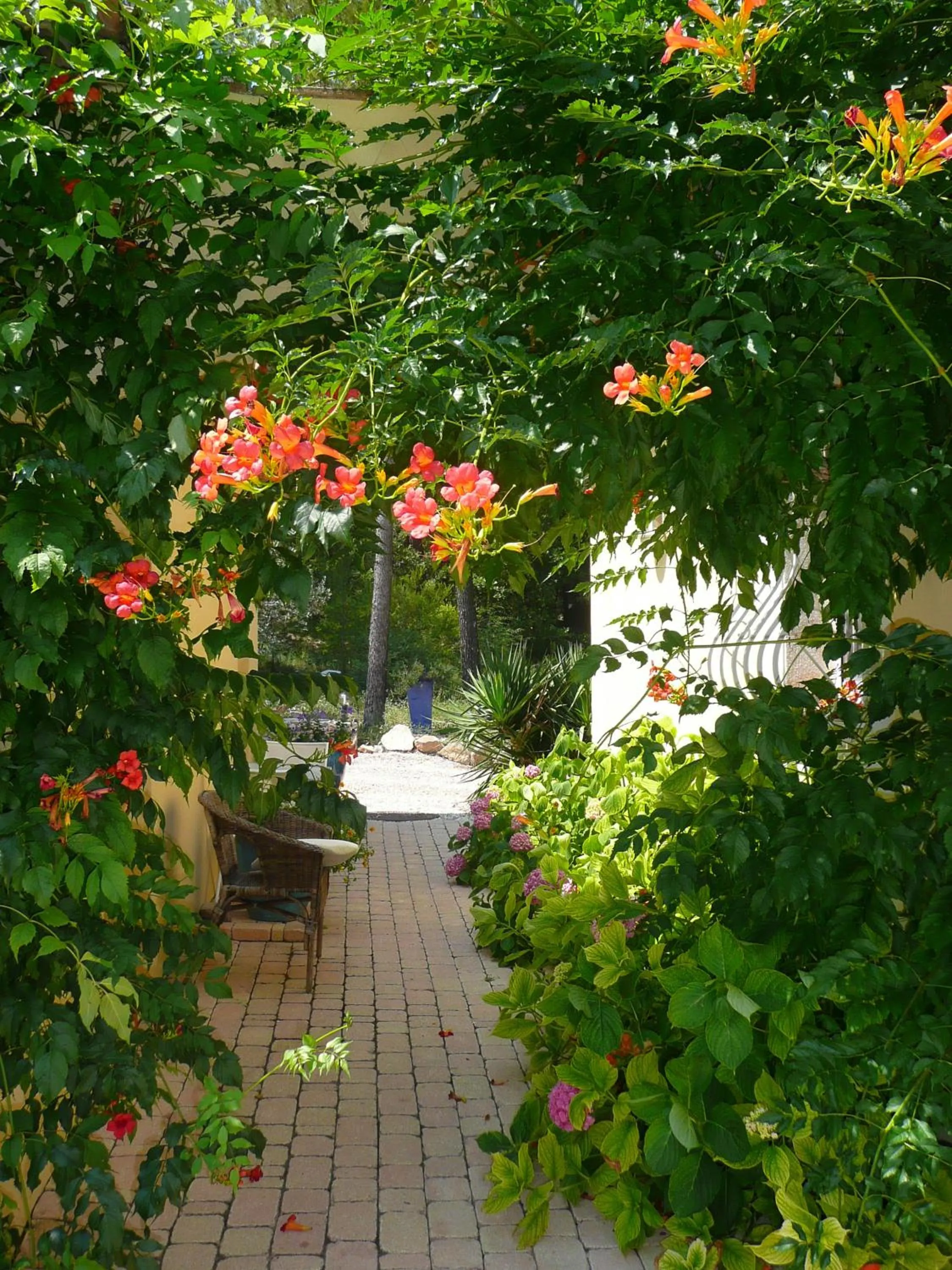 Patio in Les Pitounus