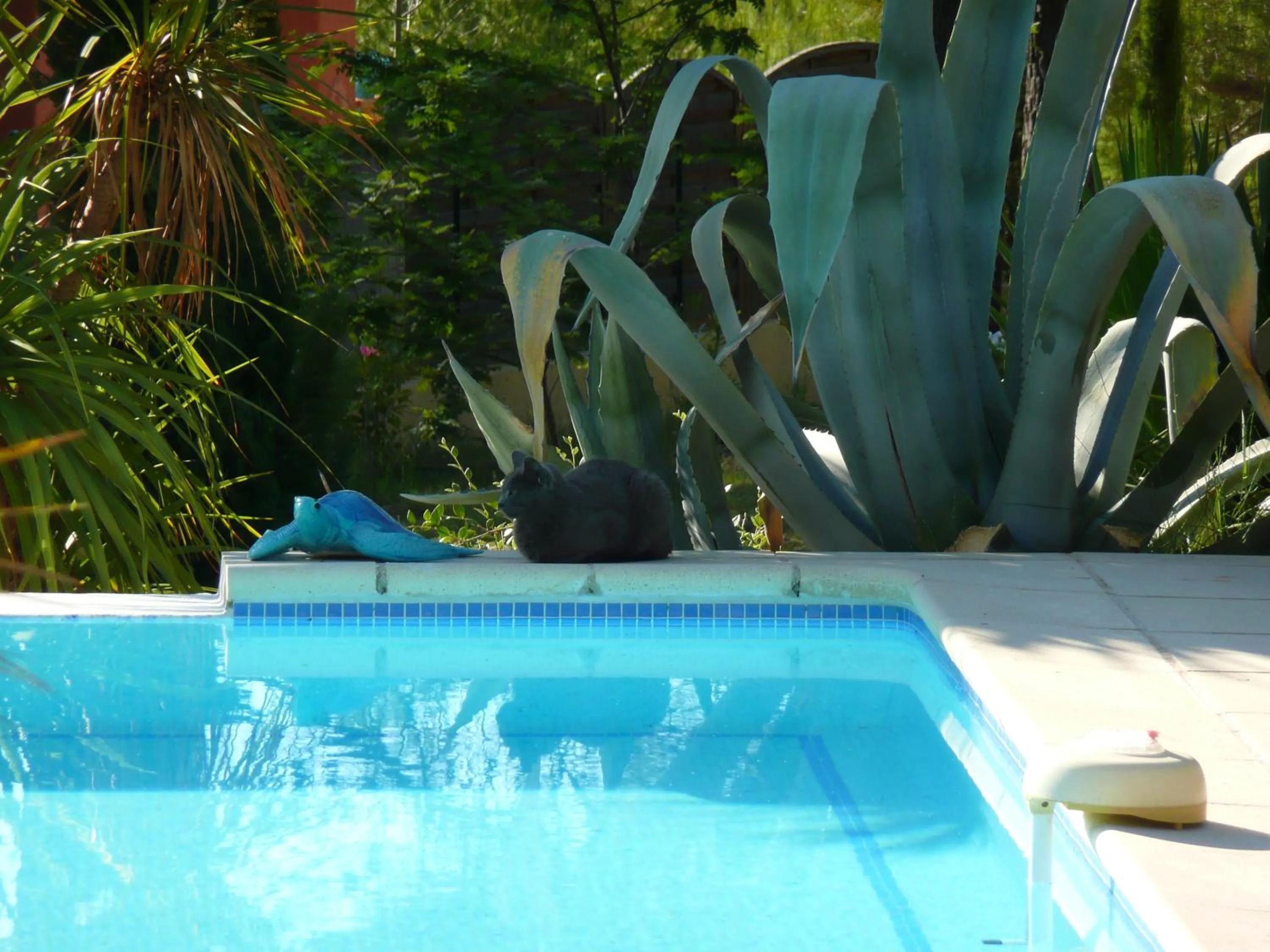 Other in Les Pitounus