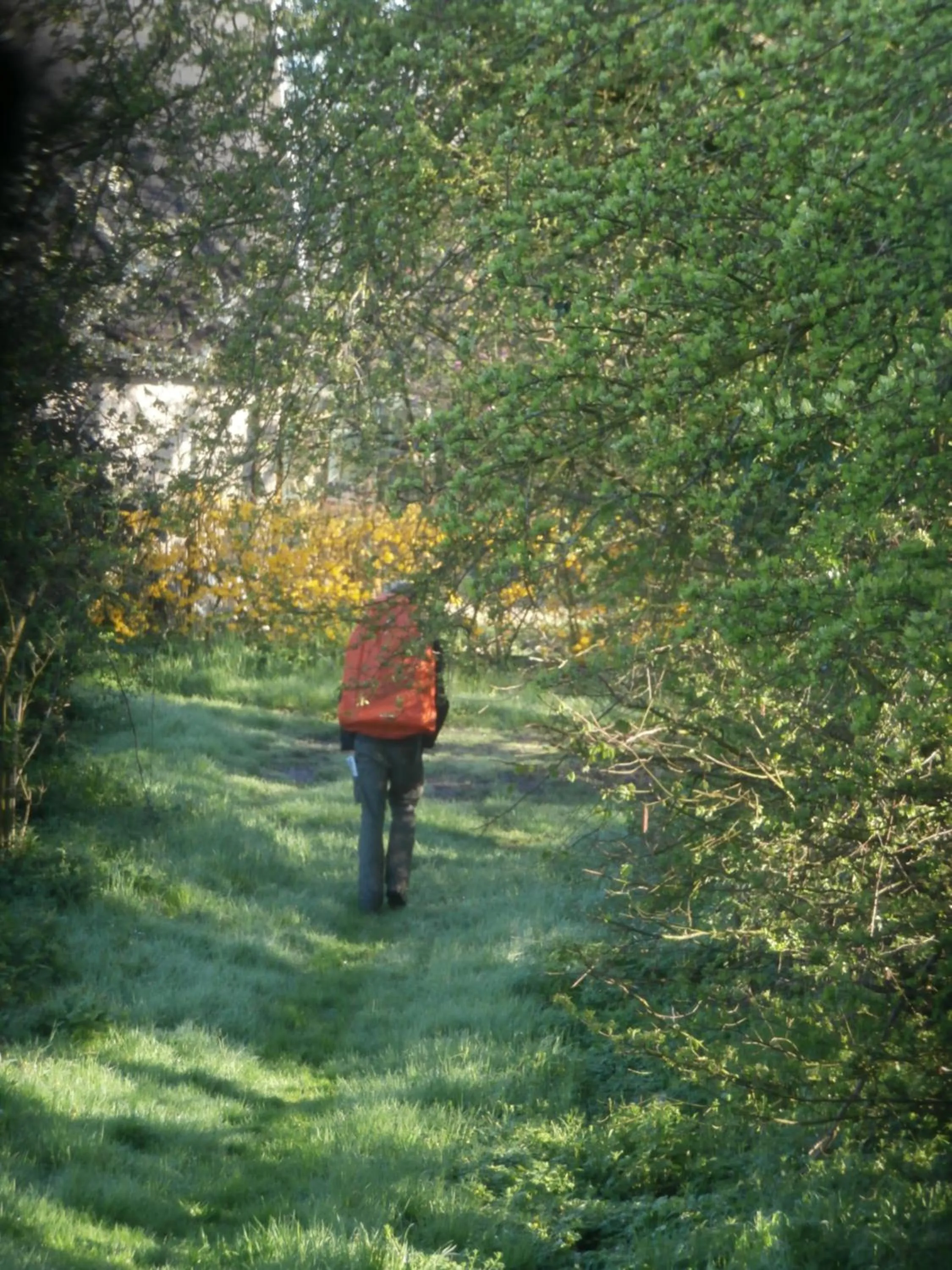Natural landscape in Chambre d'hôtes L'Ermite