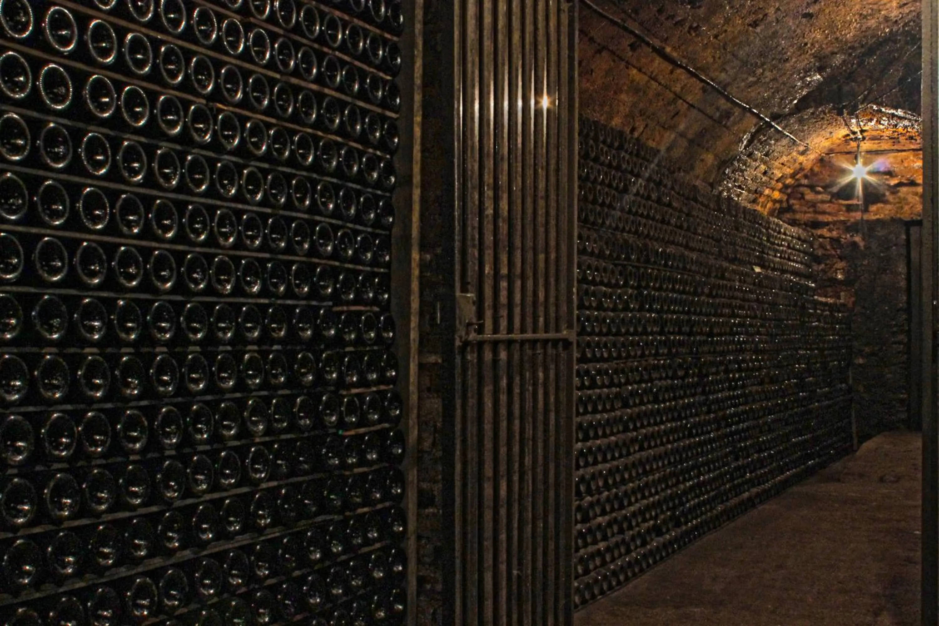 Activities in Champagne Philippe Martin