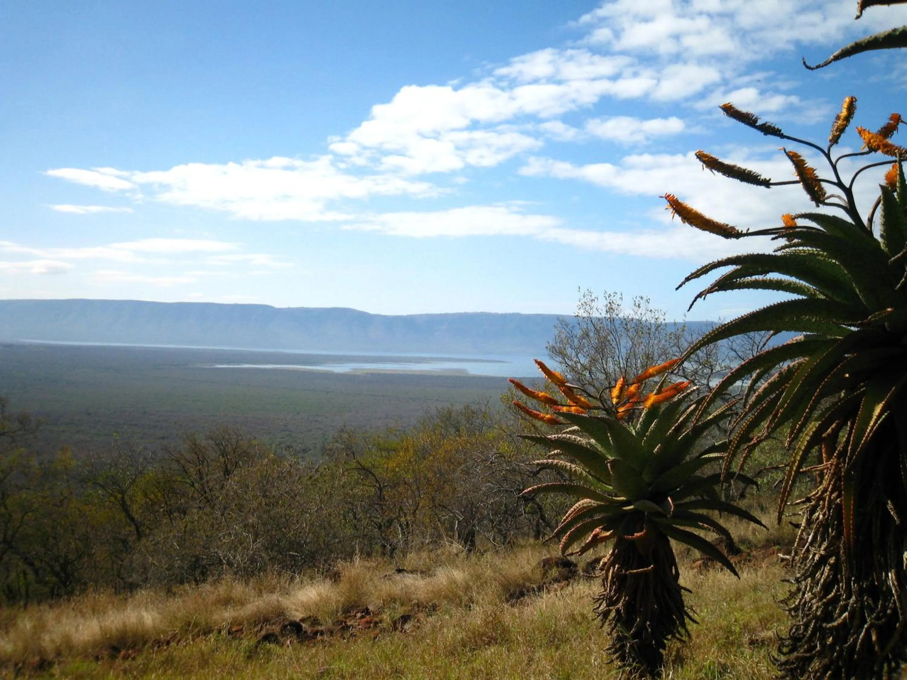 Day in Shayamoya Tiger Fishing and Game Lodge
