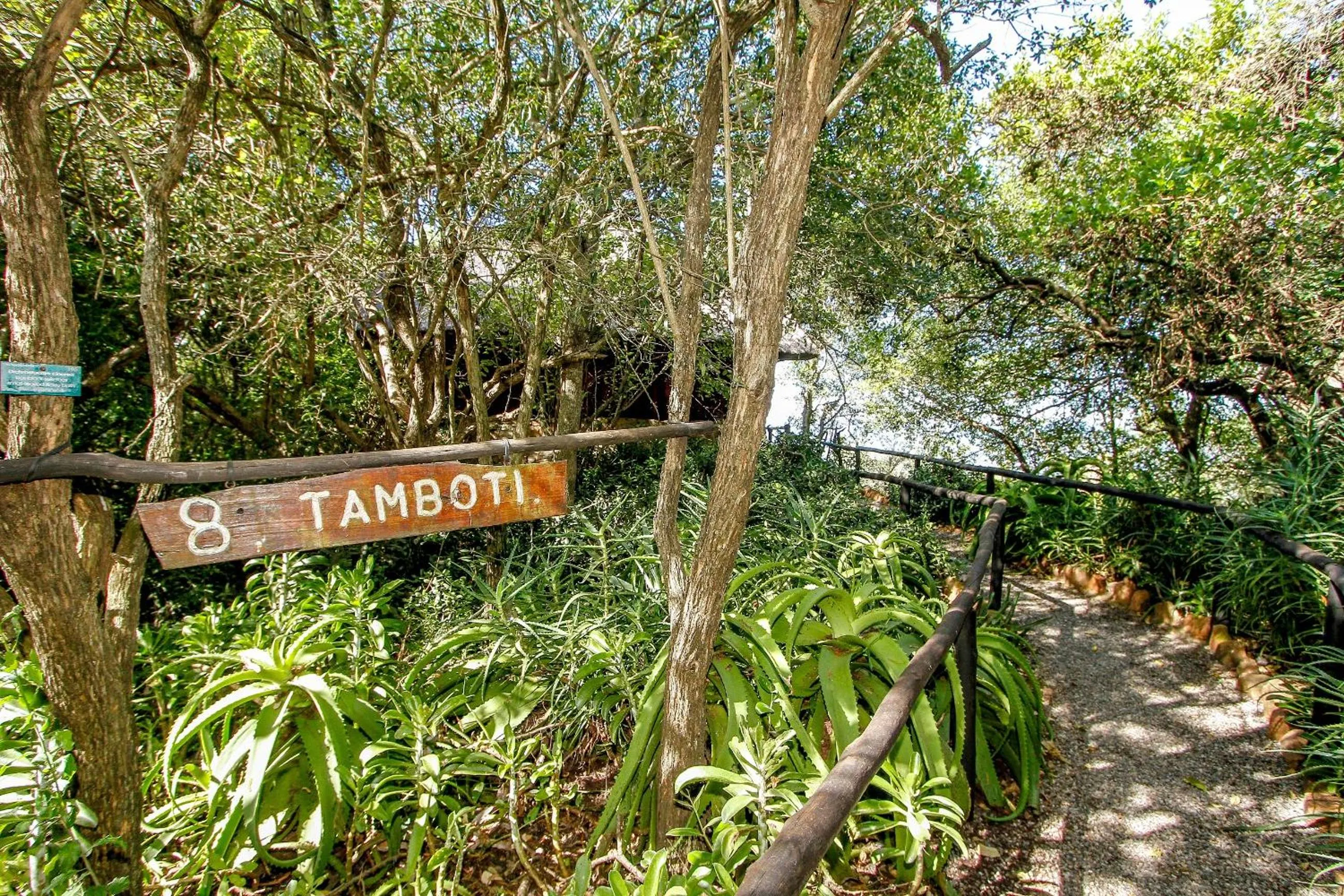 Shayamoya Tiger Fishing and Game Lodge