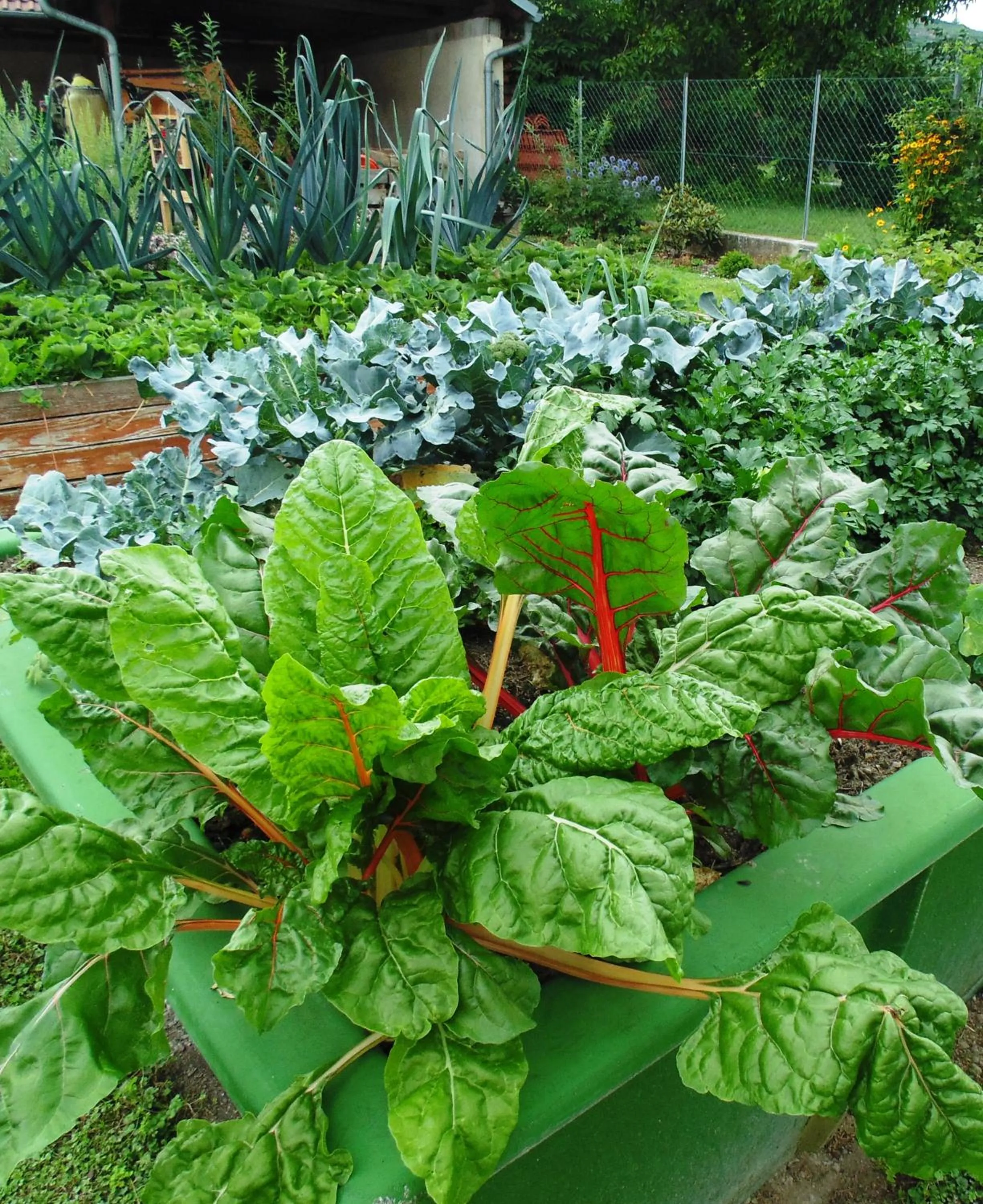 Garden in Schmankerl und Gast