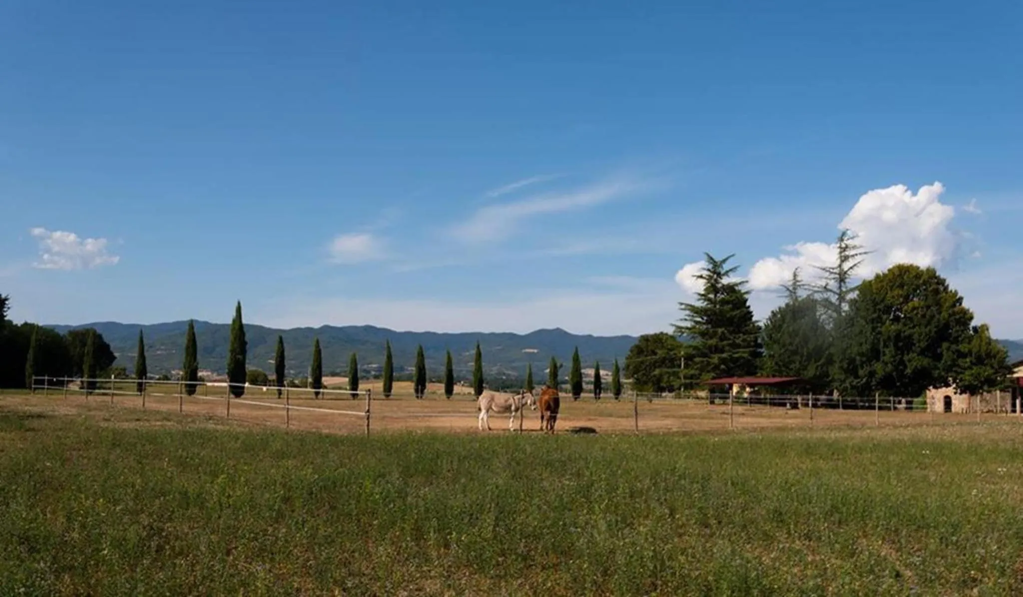 Nearby landmark in Camping Village Mugello Verde