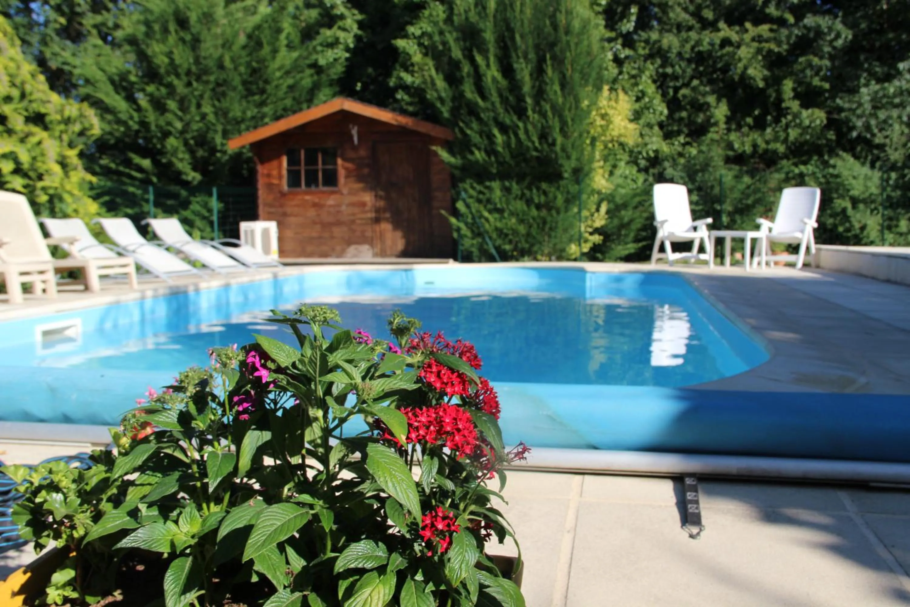 Swimming pool in Chambres d'hôtes les Etoiles