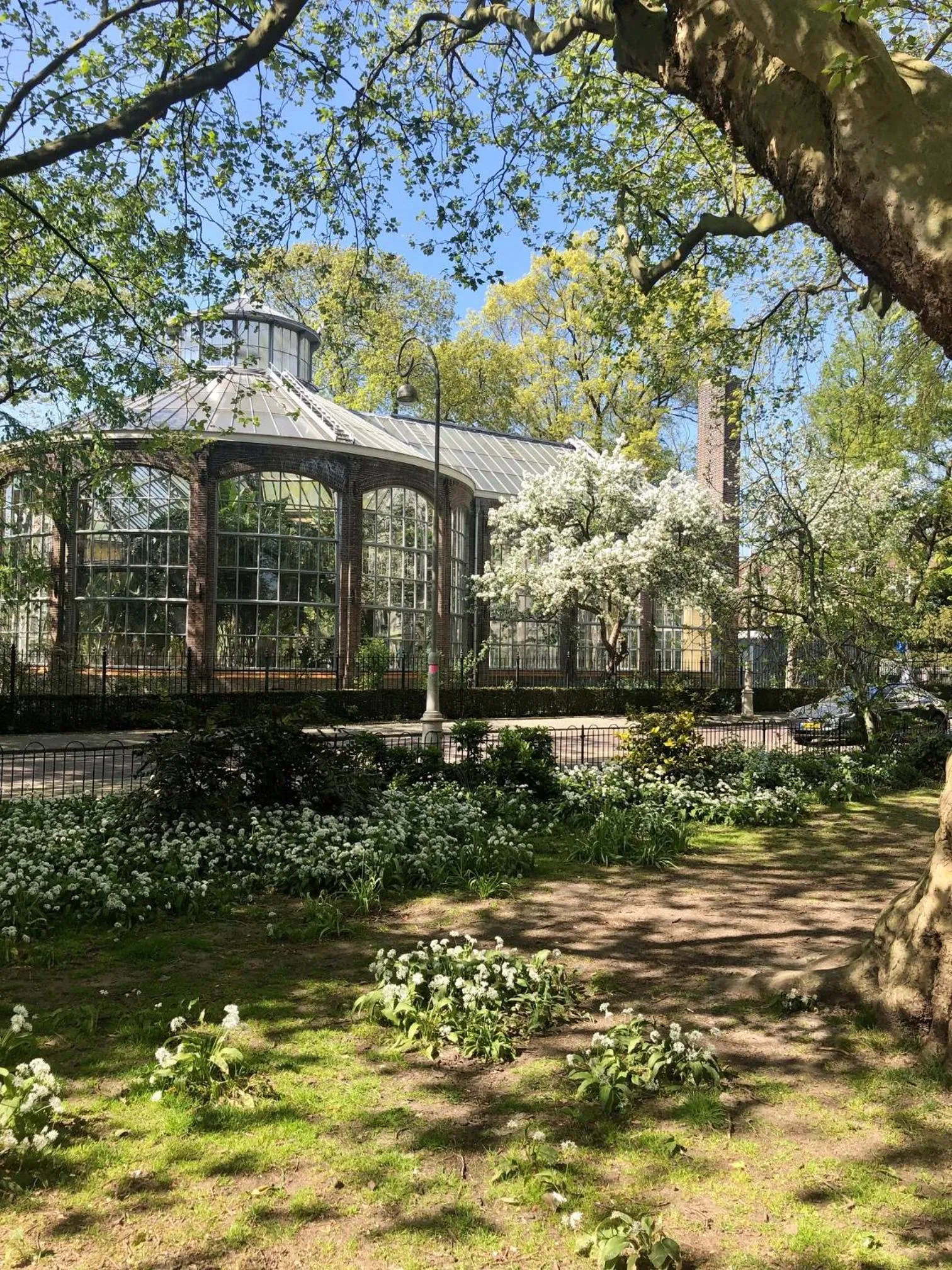 Area and facilities in Spinoza Suites