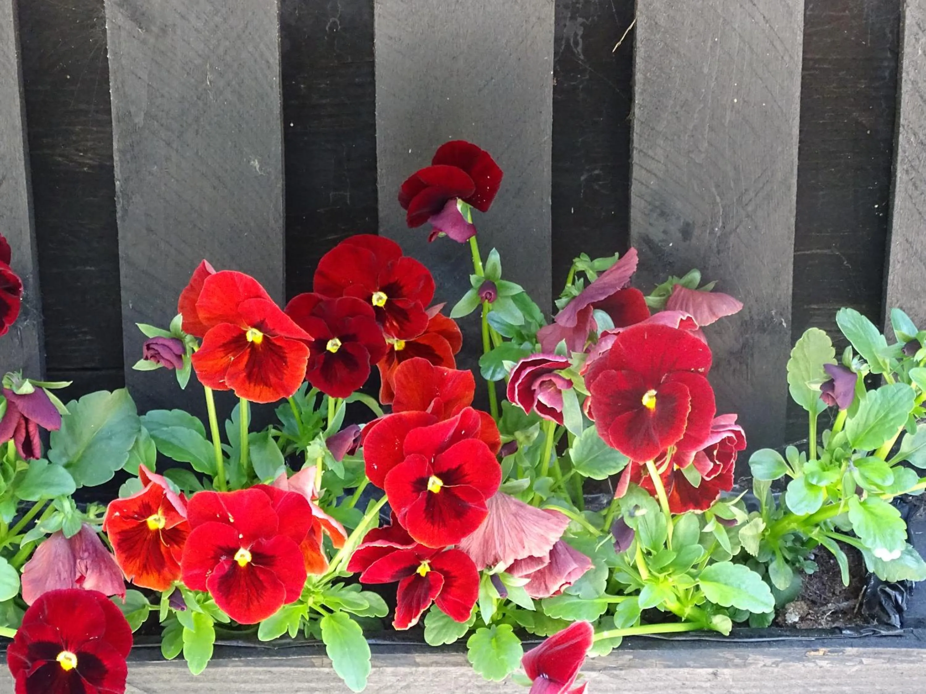 De Oude Stoffeerderij