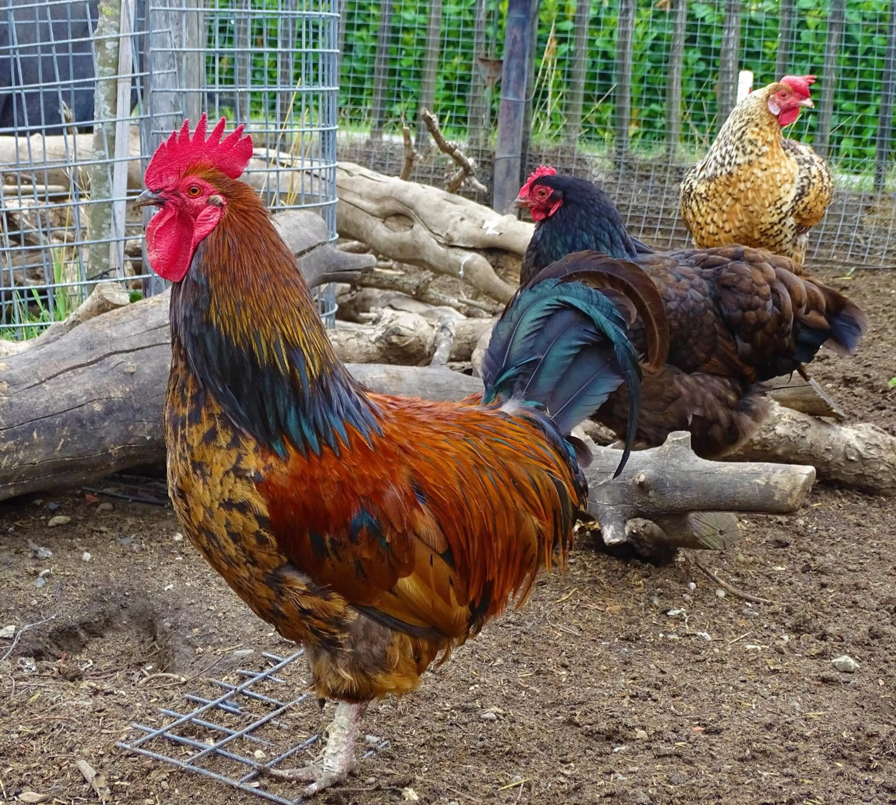 De Oude Stoffeerderij