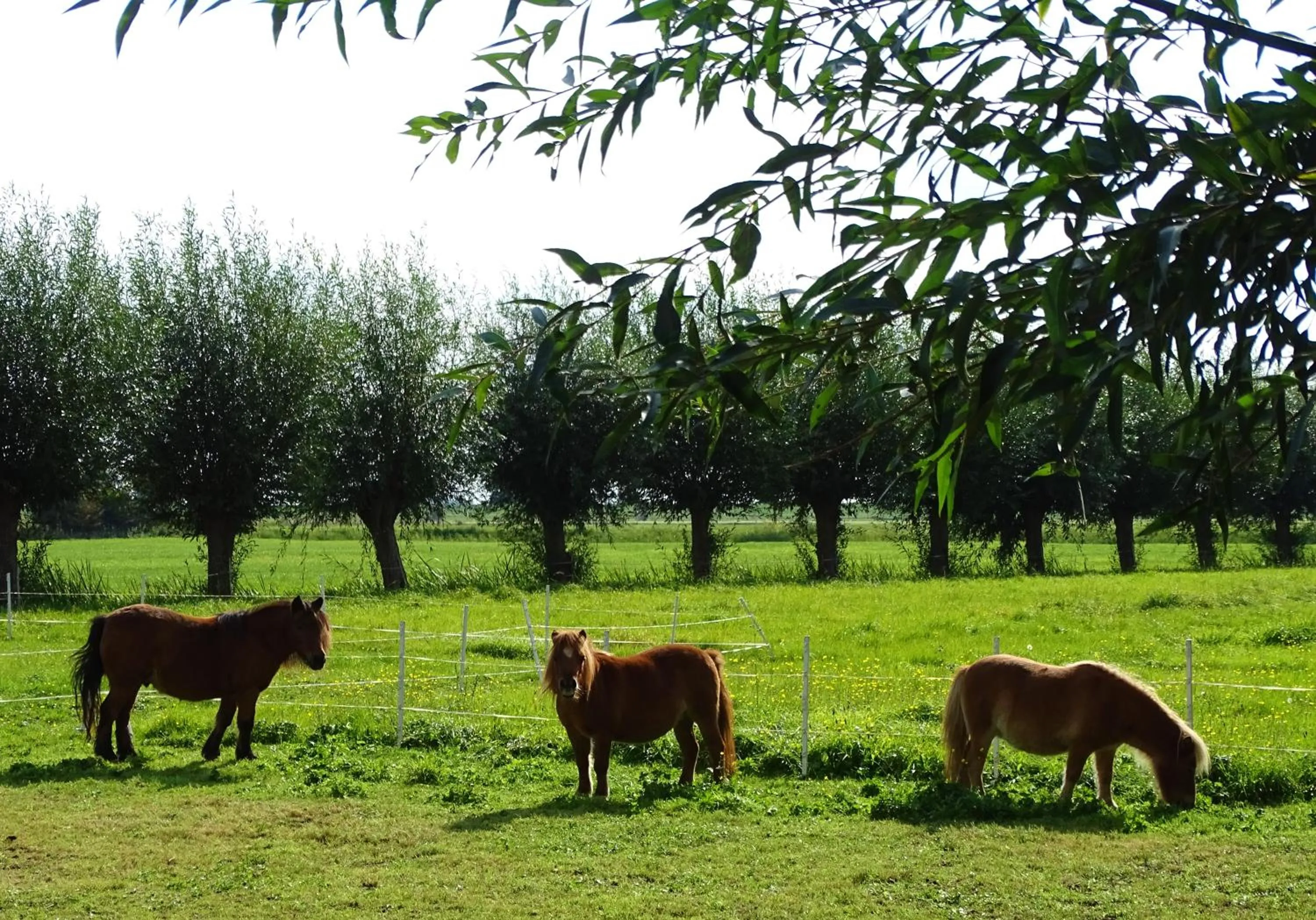 De Oude Stoffeerderij