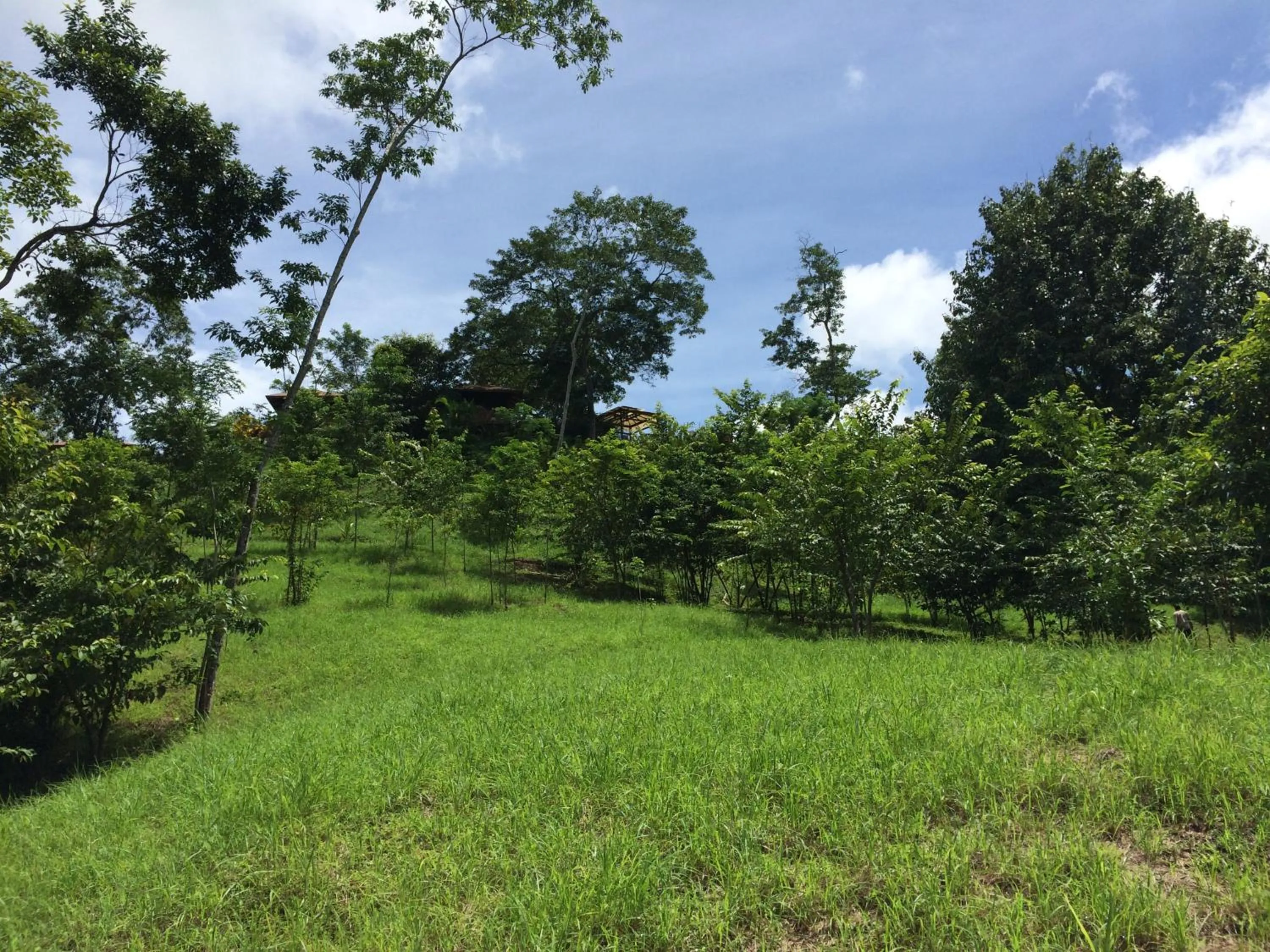 Garden view in Lodge Margouillat