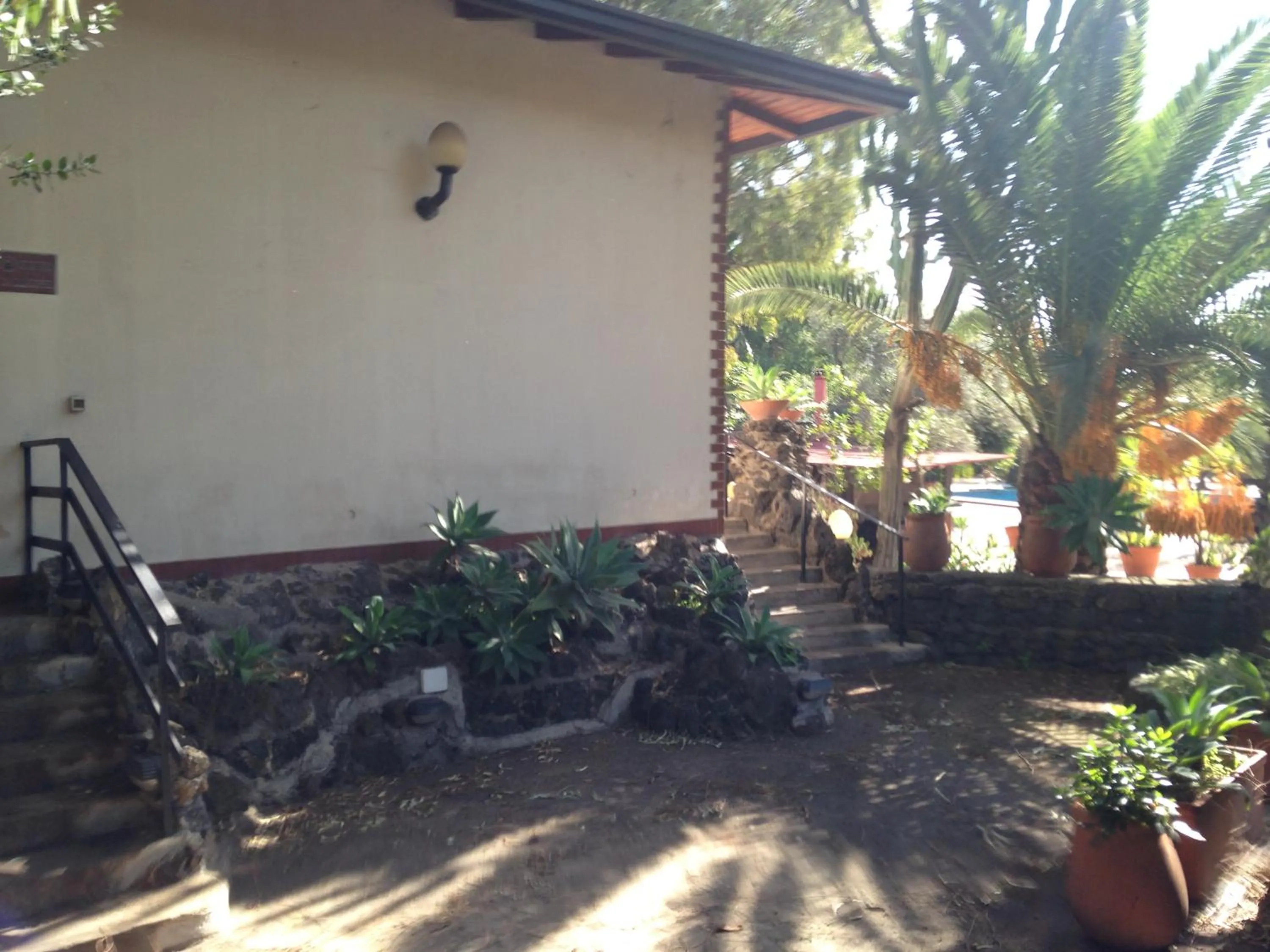 Garden in Garden Hotel