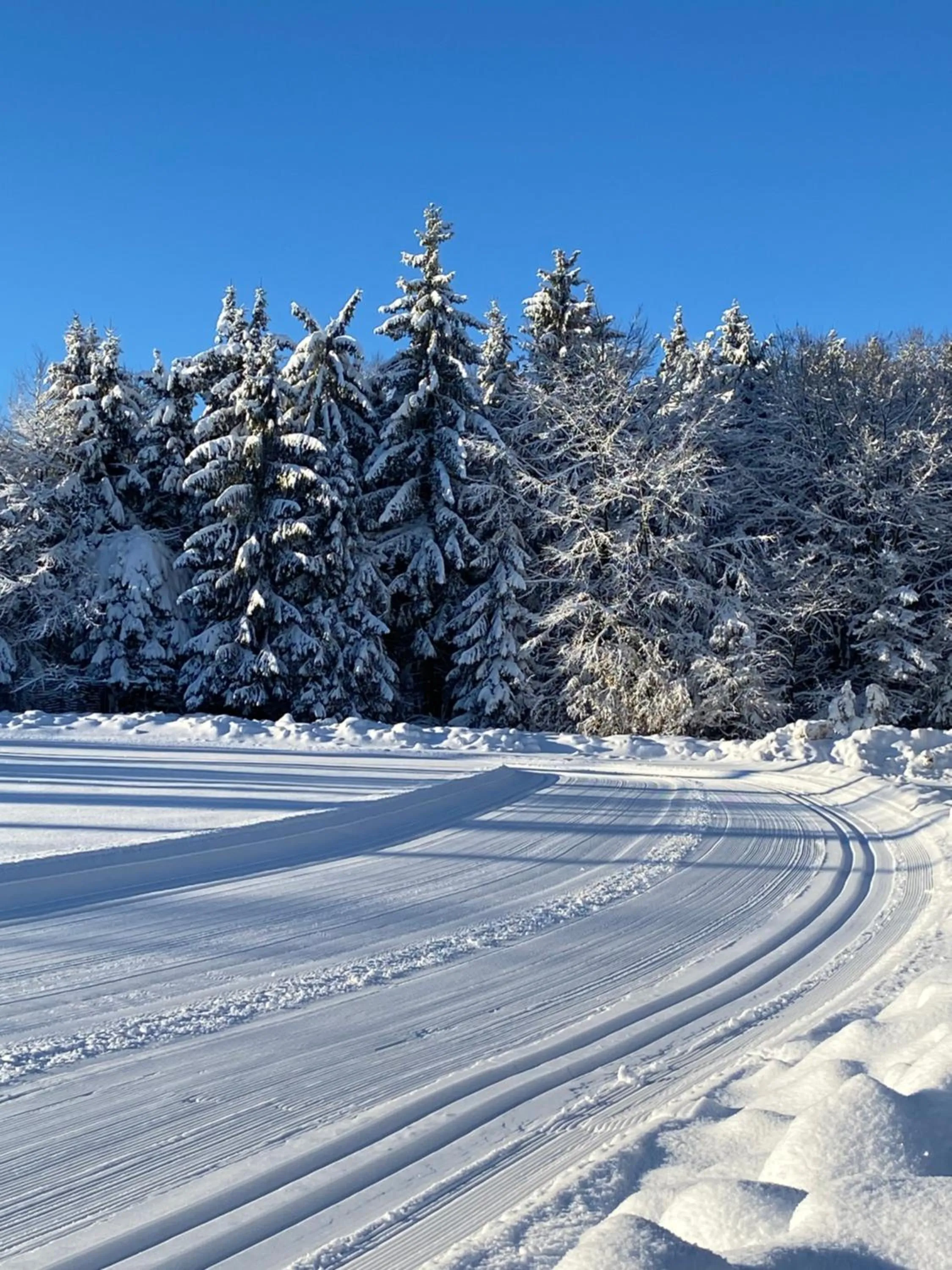 Winter in Waldgasthof Bad Einsiedel