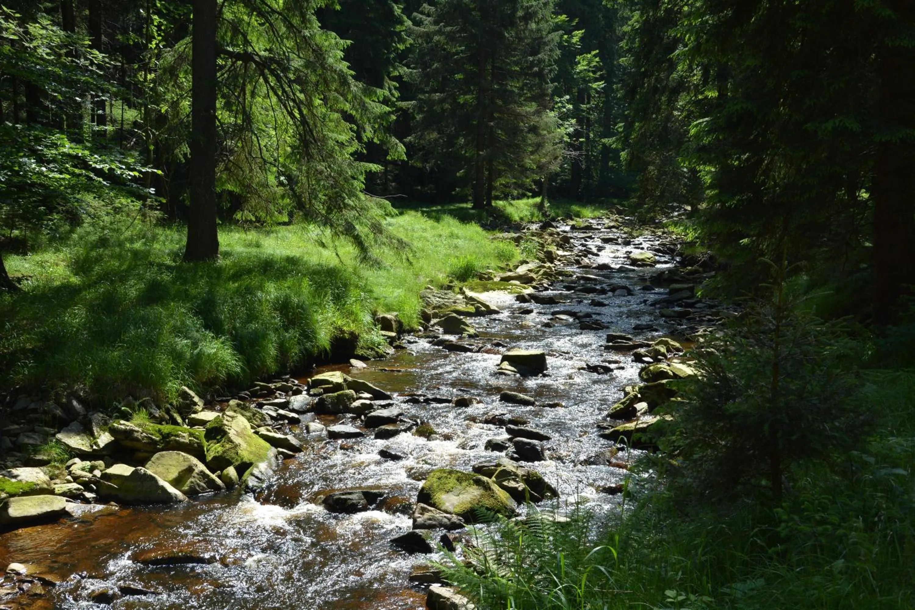 Summer in Waldgasthof Bad Einsiedel