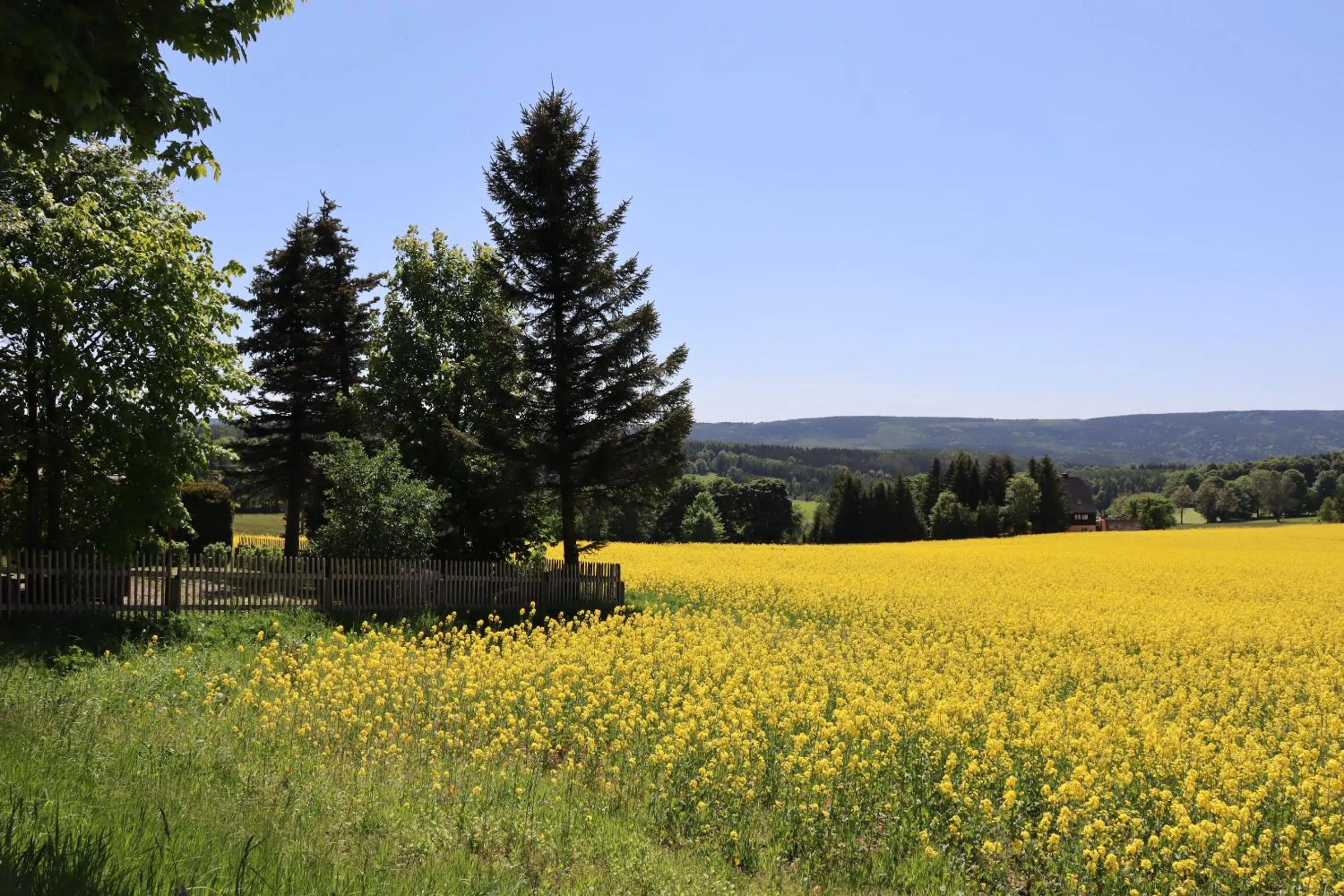 Spring in Waldgasthof Bad Einsiedel