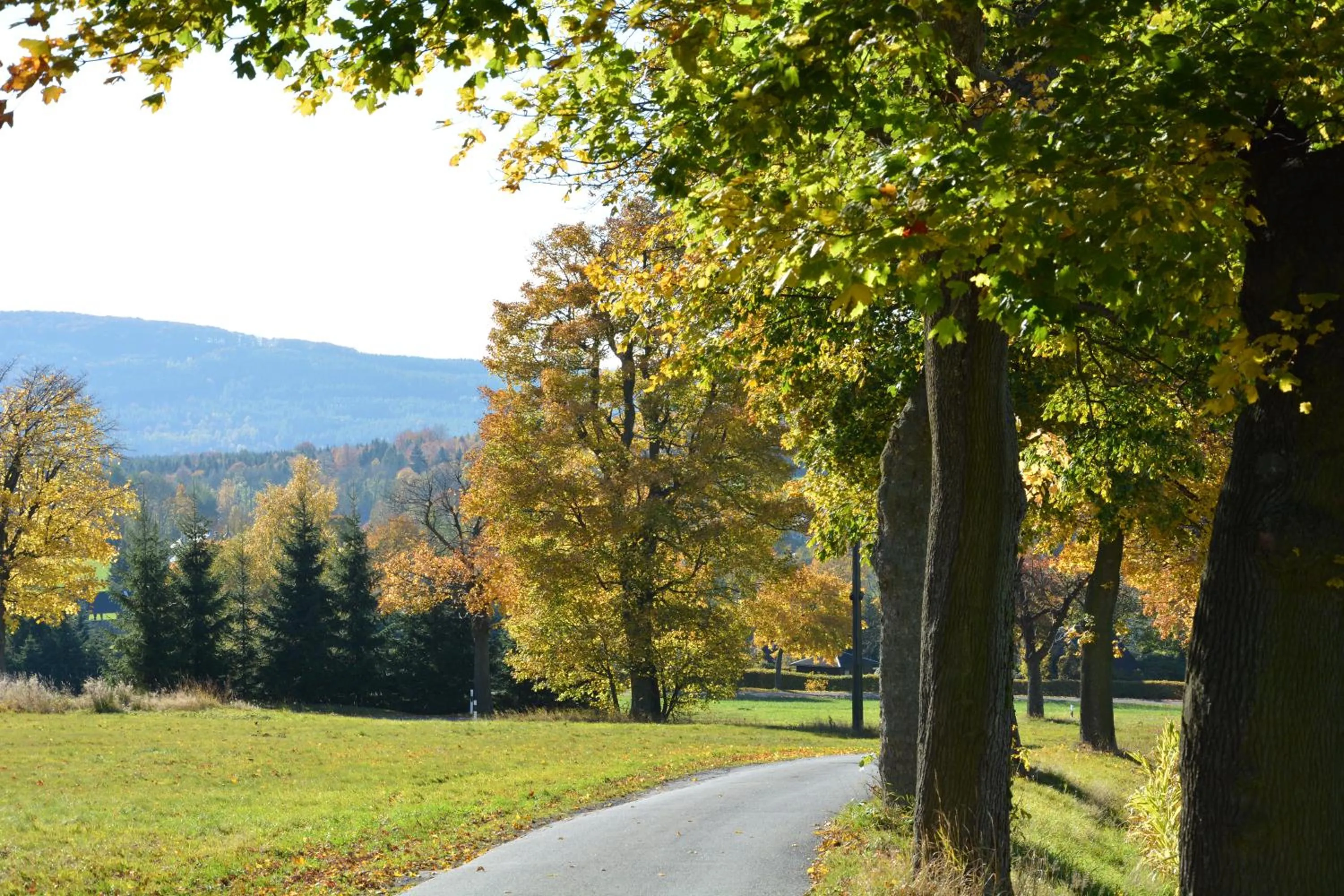 Hiking in Waldgasthof Bad Einsiedel