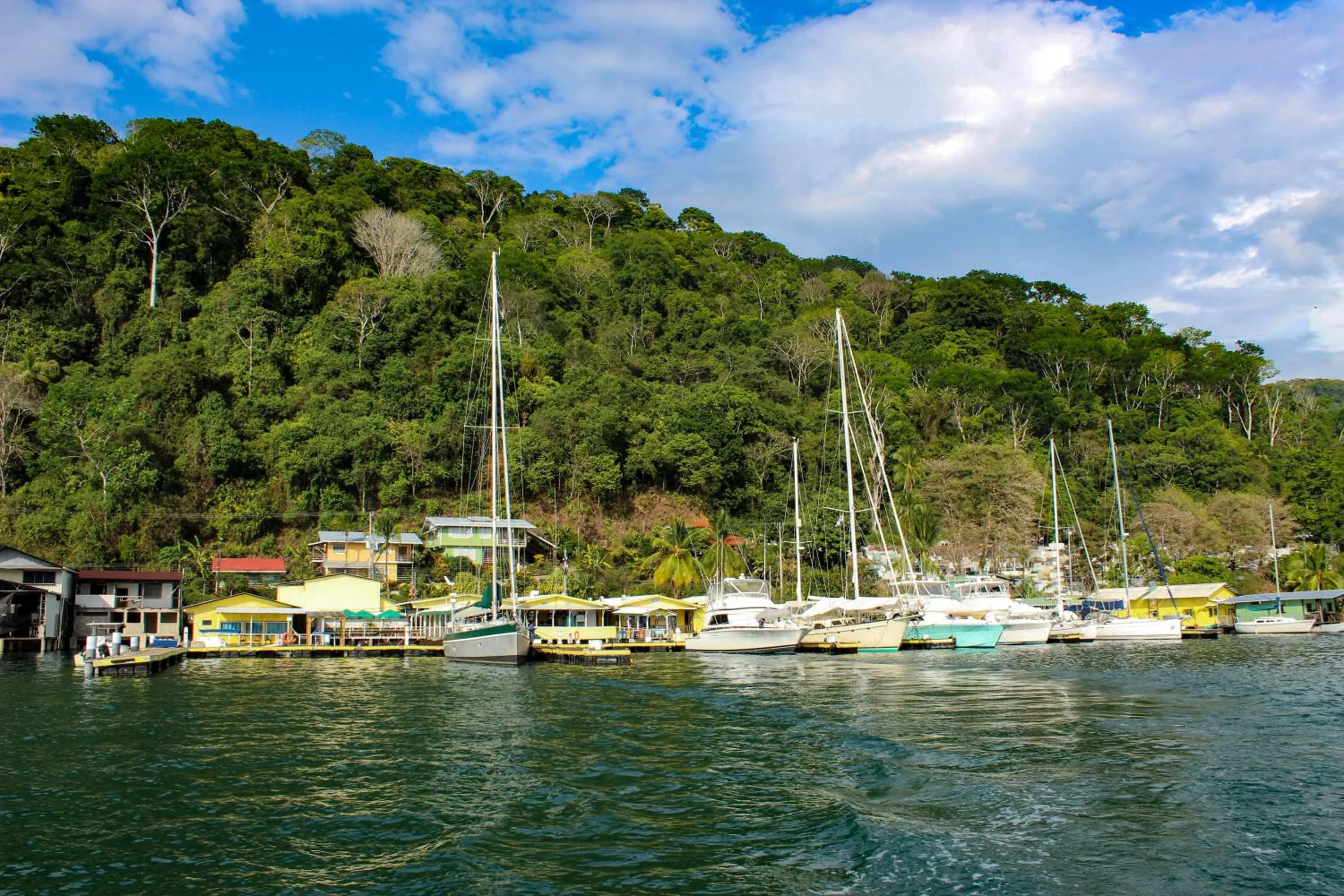 Natural landscape in Banana Bay Marina