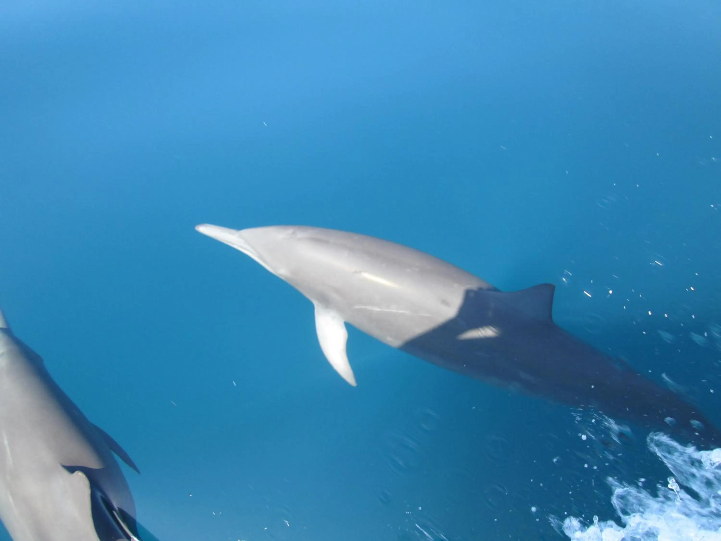 Sports in Banana Bay Marina