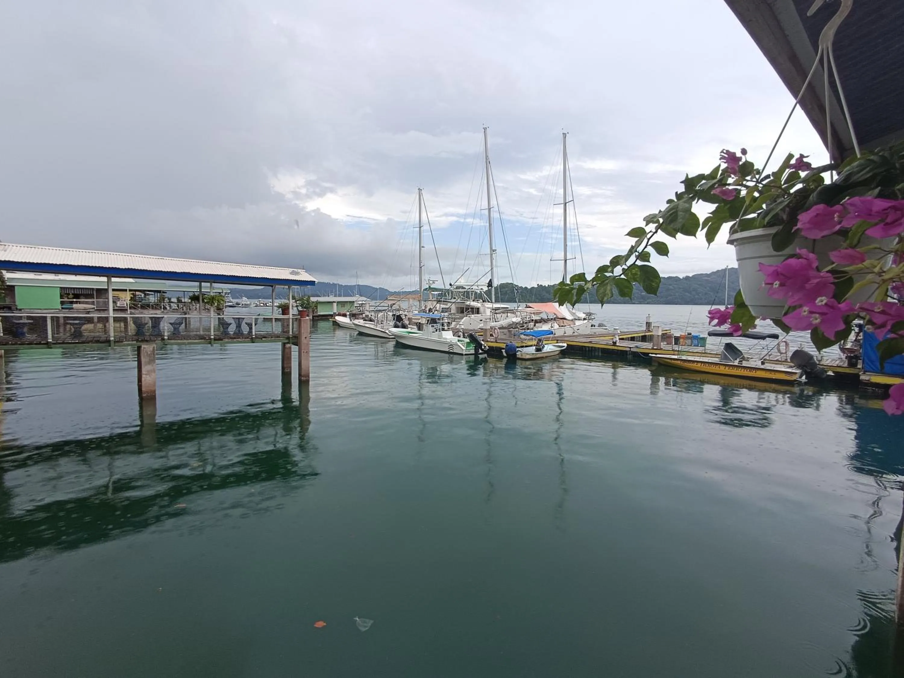 Banana Bay Marina
