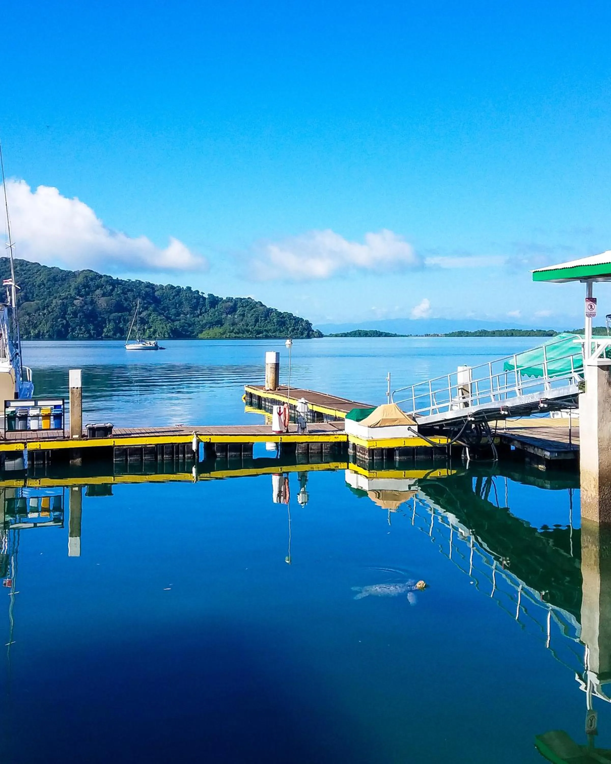 Natural landscape in Banana Bay Marina