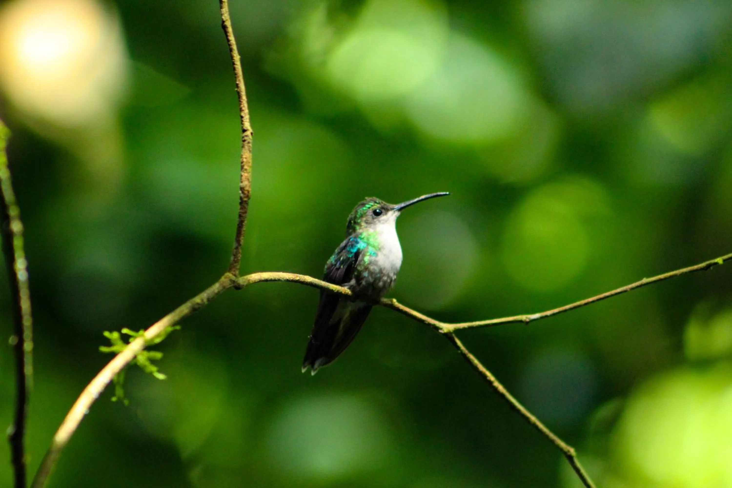 Natural landscape in Banana Bay Marina