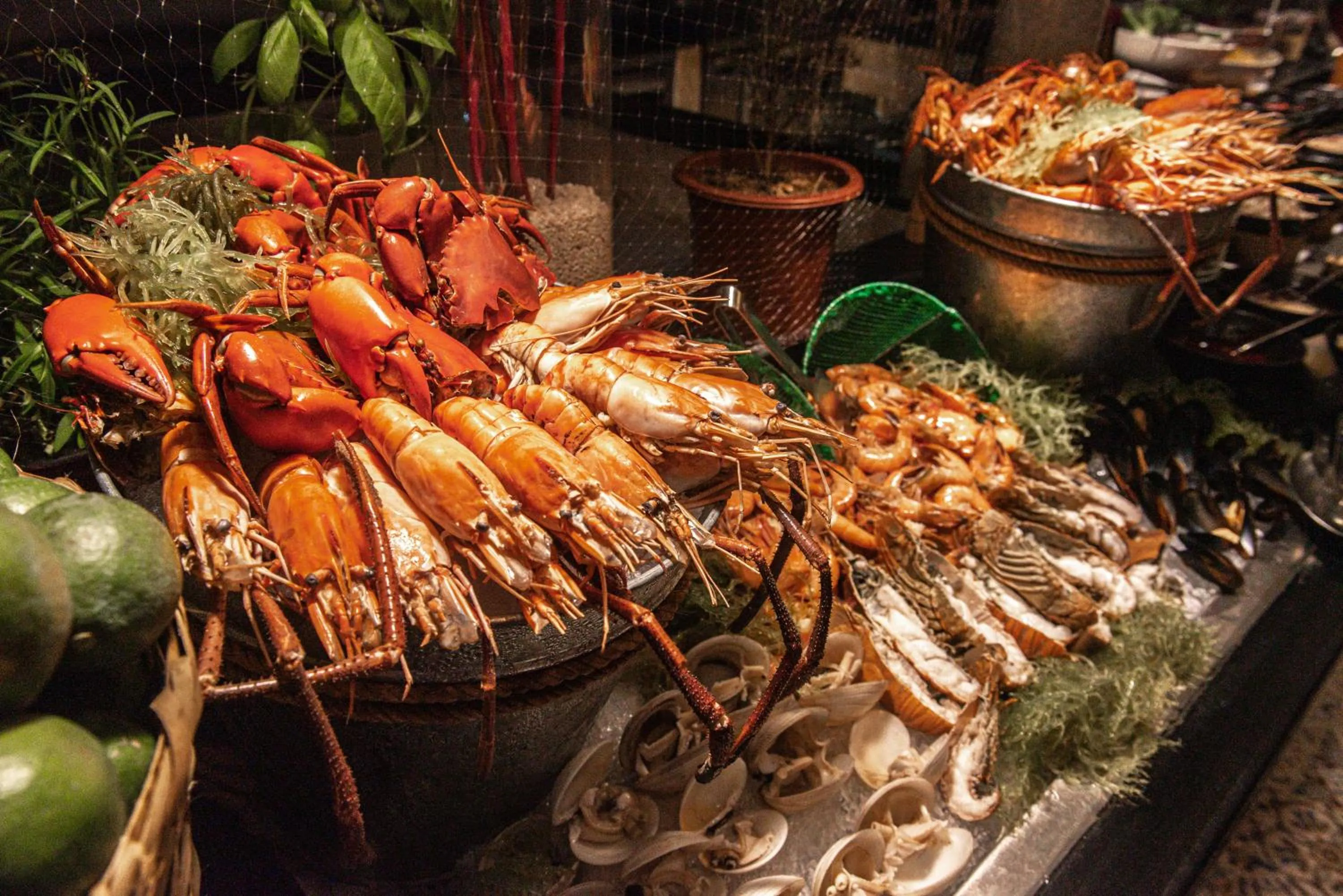 Dinner in Dusit Thani Mactan Cebu Resort