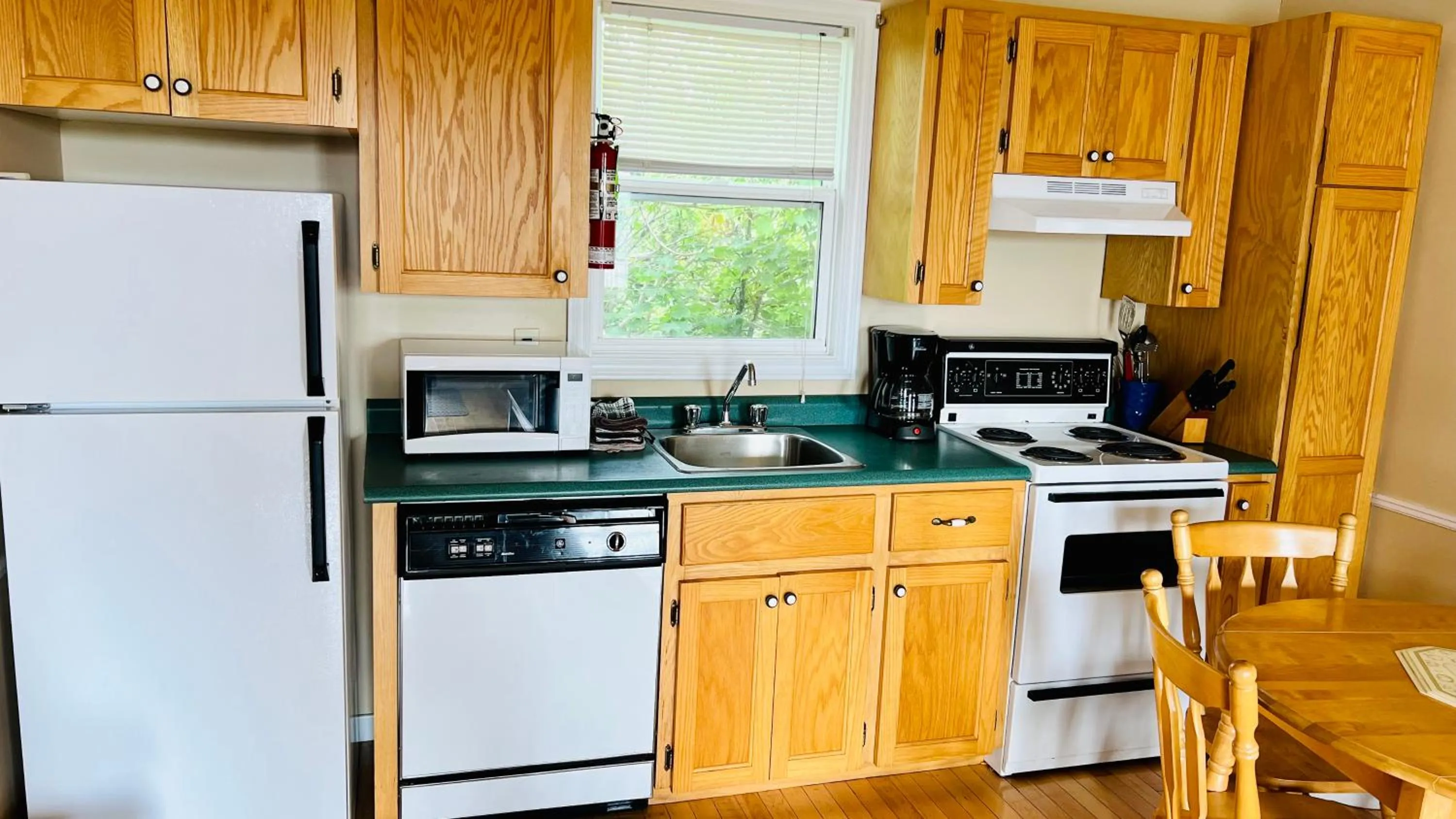 Kitchen or kitchenette in Anne Shirley Motel & Cottages